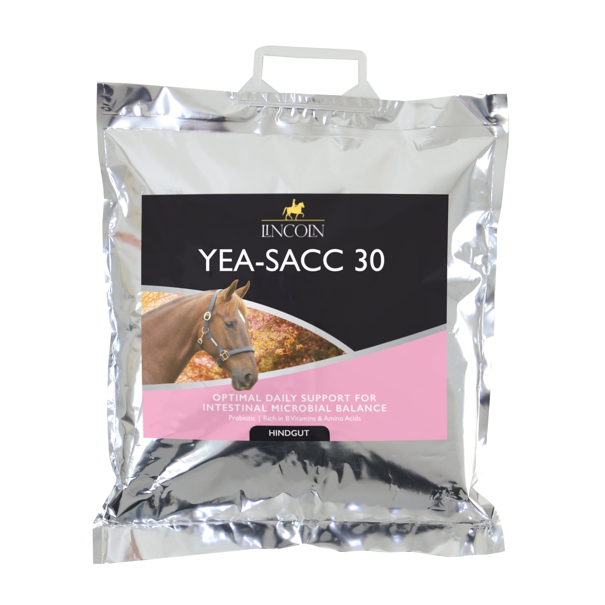 Lincoln Yea-Sacc 30 - 2.5kg