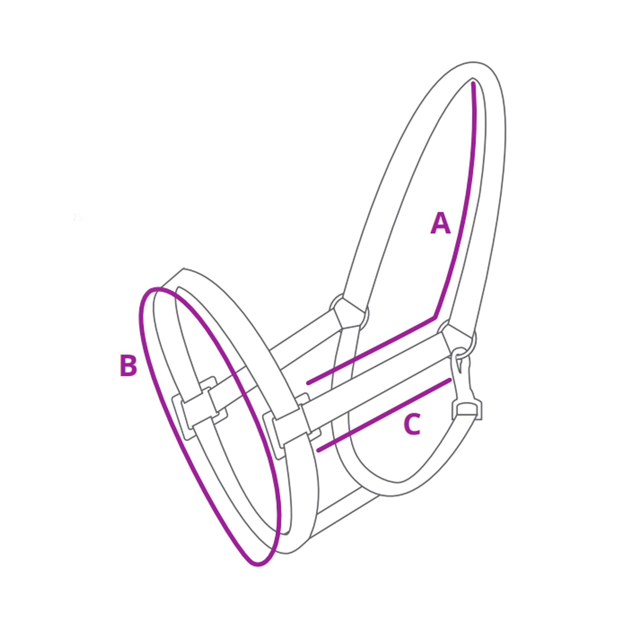 QHP Lupine Foal Headcollar