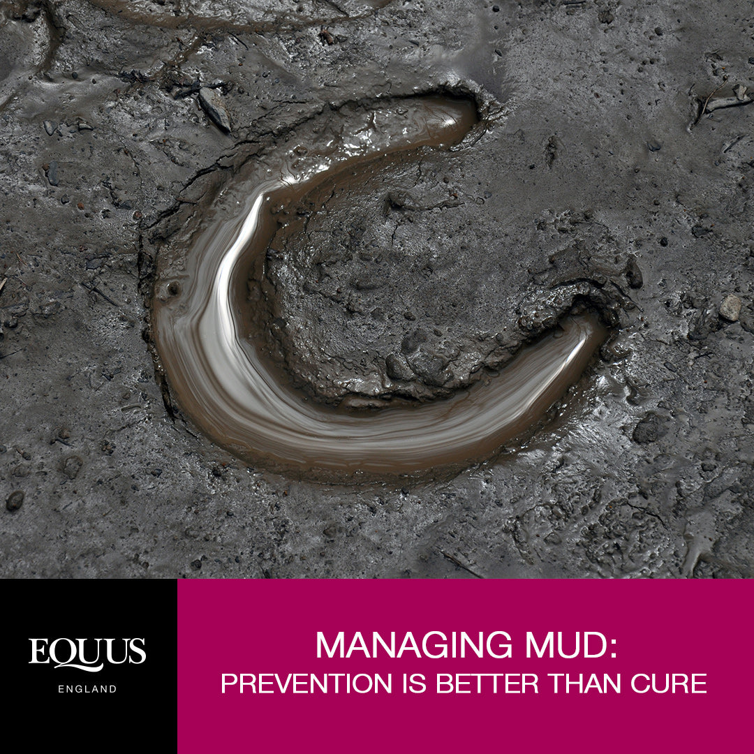 Managing Mud: Prevention Is Better Than Cure