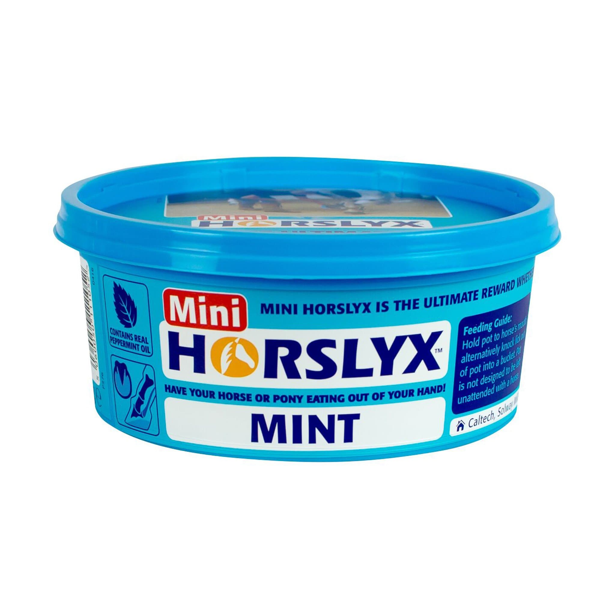 Horslyx Mini Lick - Mint