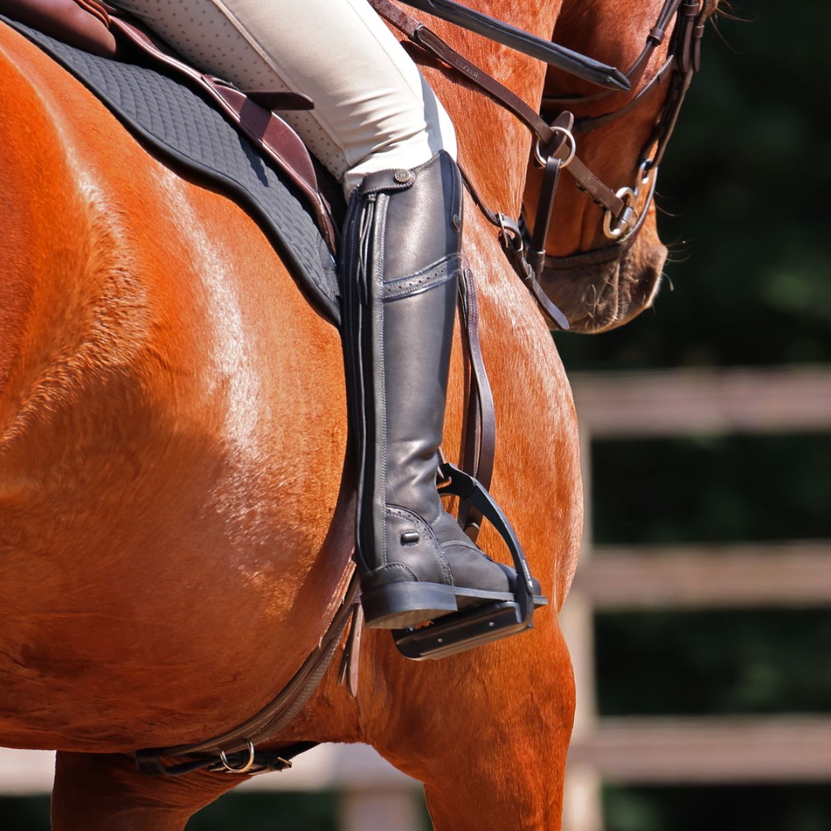 Moretta Constantina Riding Boots Black