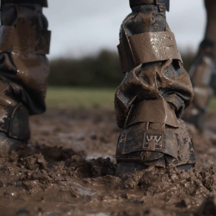 {"default":"Managing Mud Fever"}