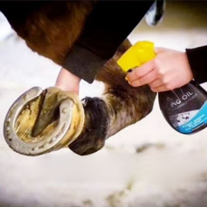 {"default":"Mud Fever Prevention"}