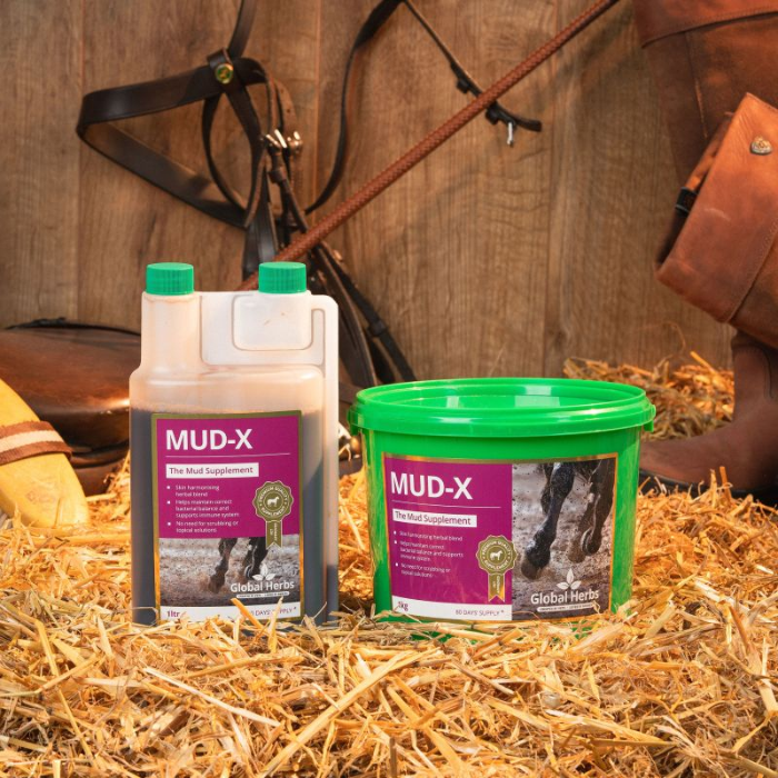 {"default":"Mud Fever Supplements"}