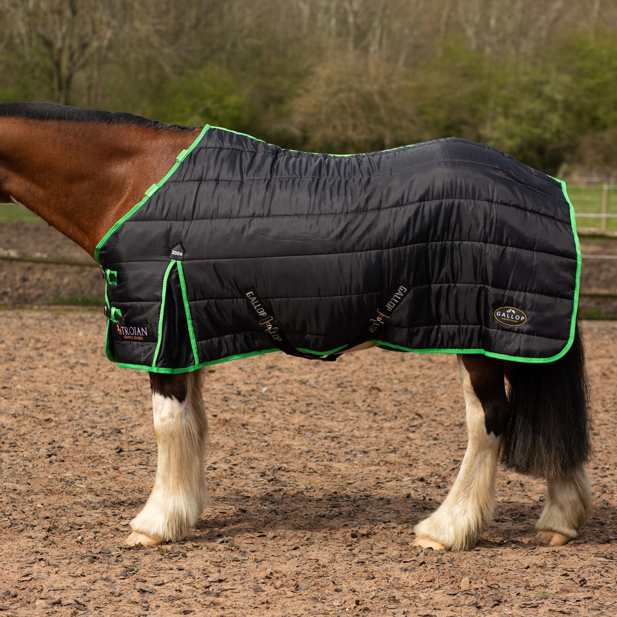 Stable Rugs Horse Stable Rugs with Free UK Delivery* EQUUS