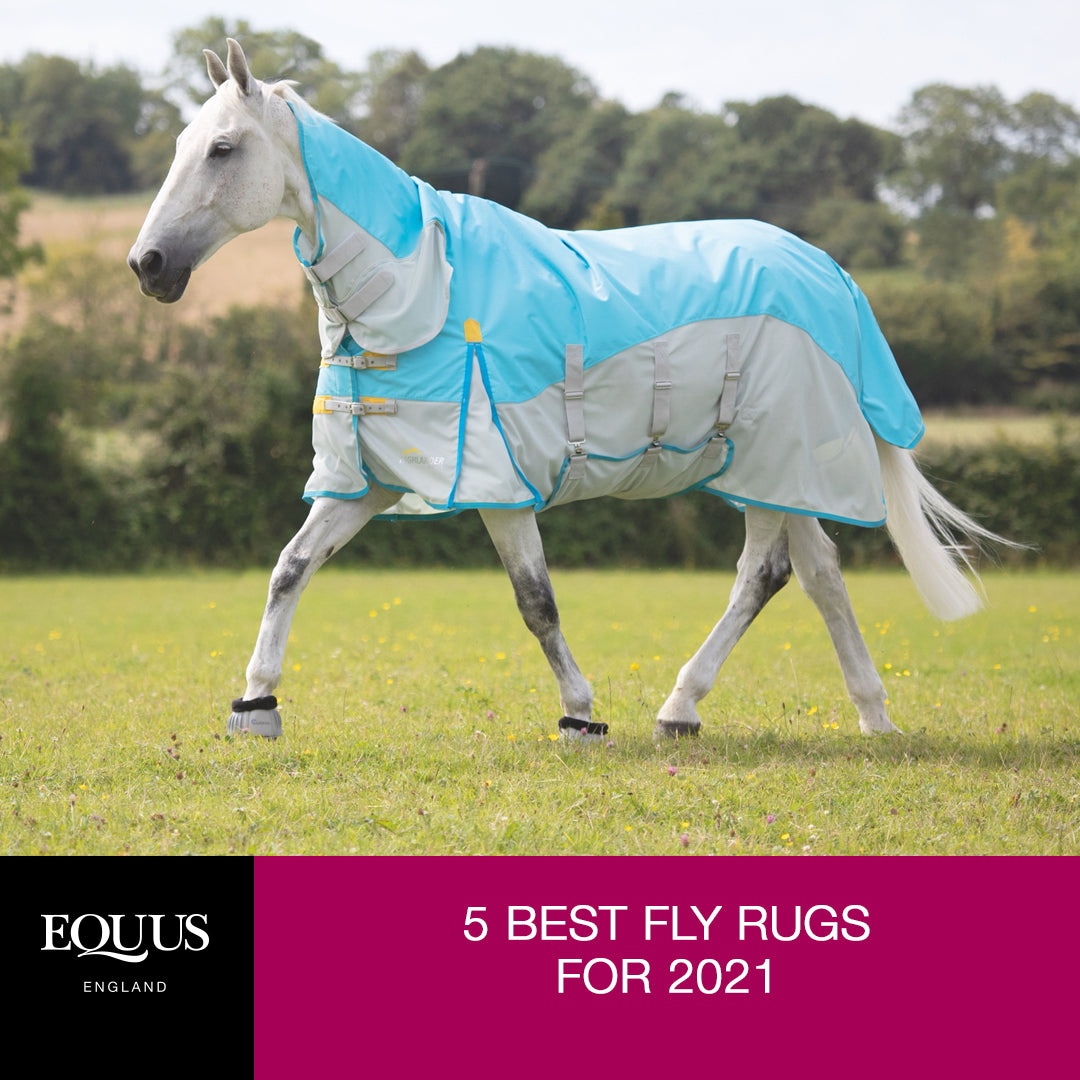 Turnout Rug Fun Pattern Night time turnout rugs for spring