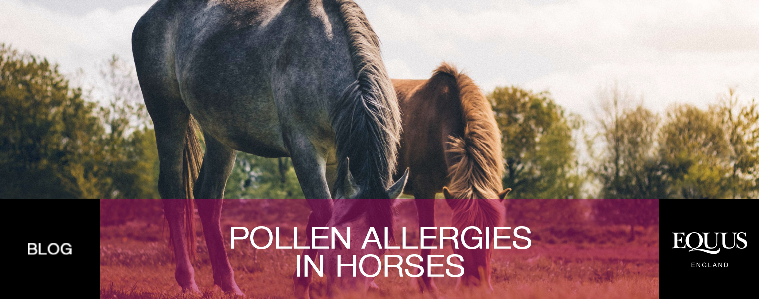 Pollen allergies in horses