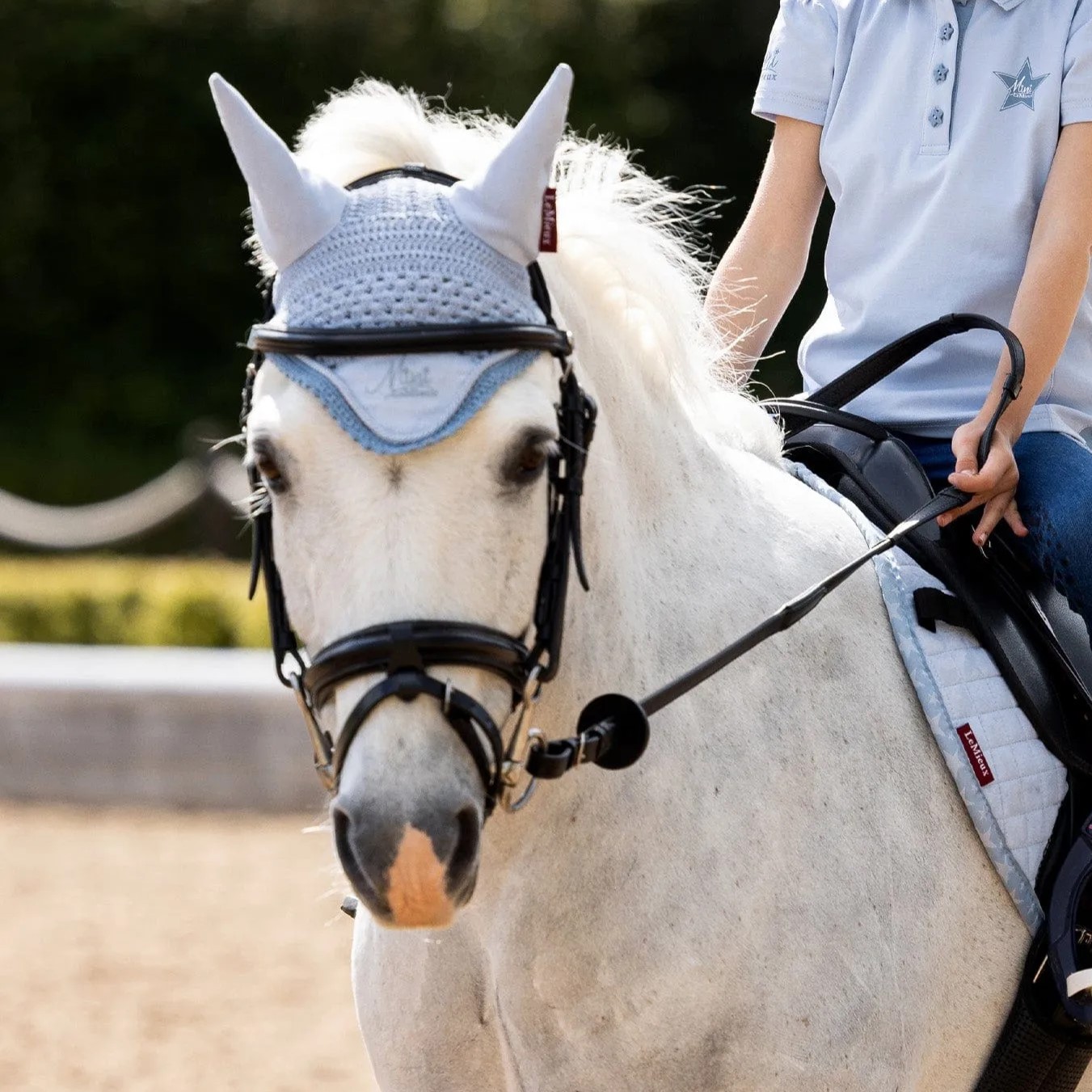 {"default":"Pony Ear Bonnet"}