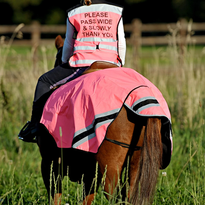 {"default":"Pony Exercise Sheets"}