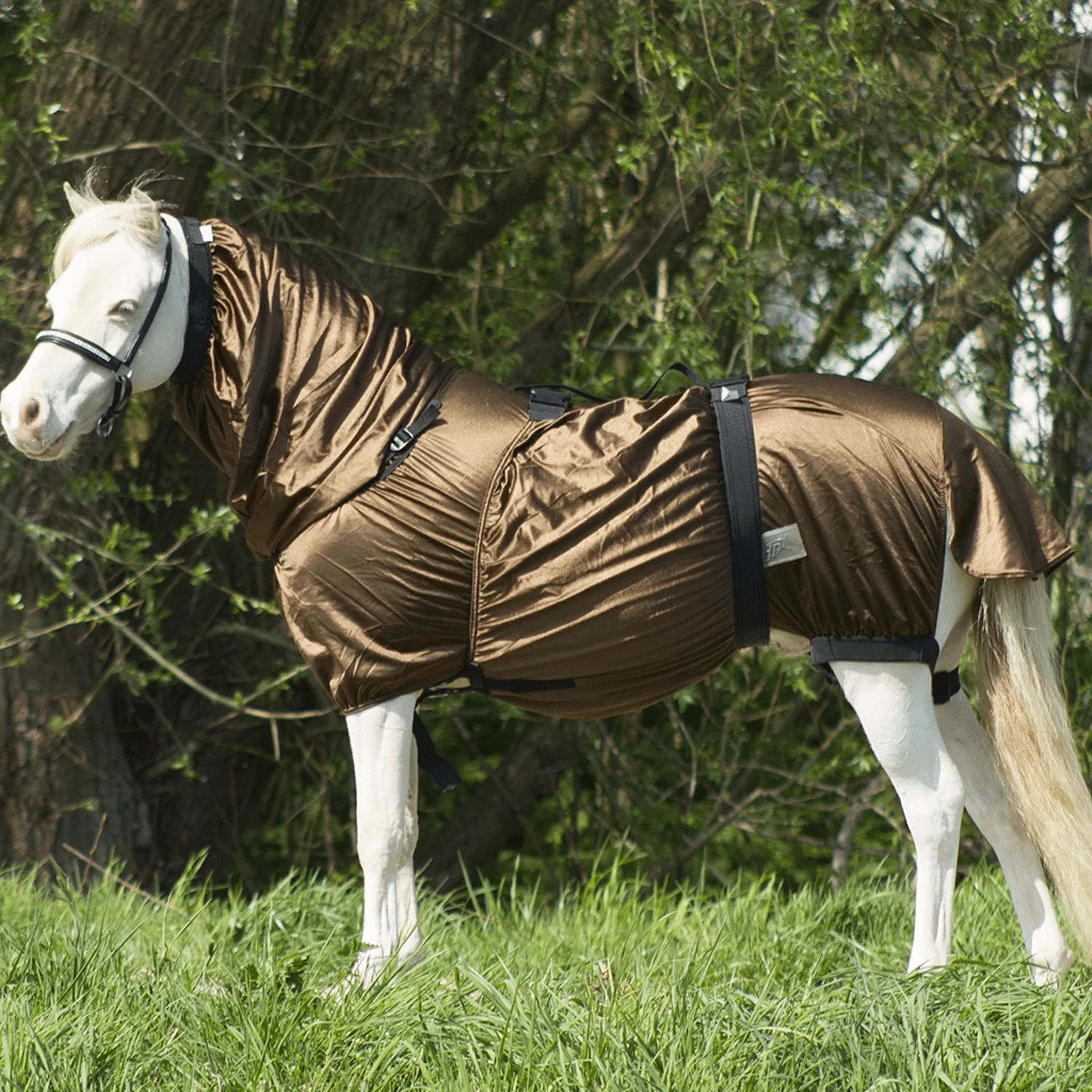 {"default":"Pony Fly Rugs"}