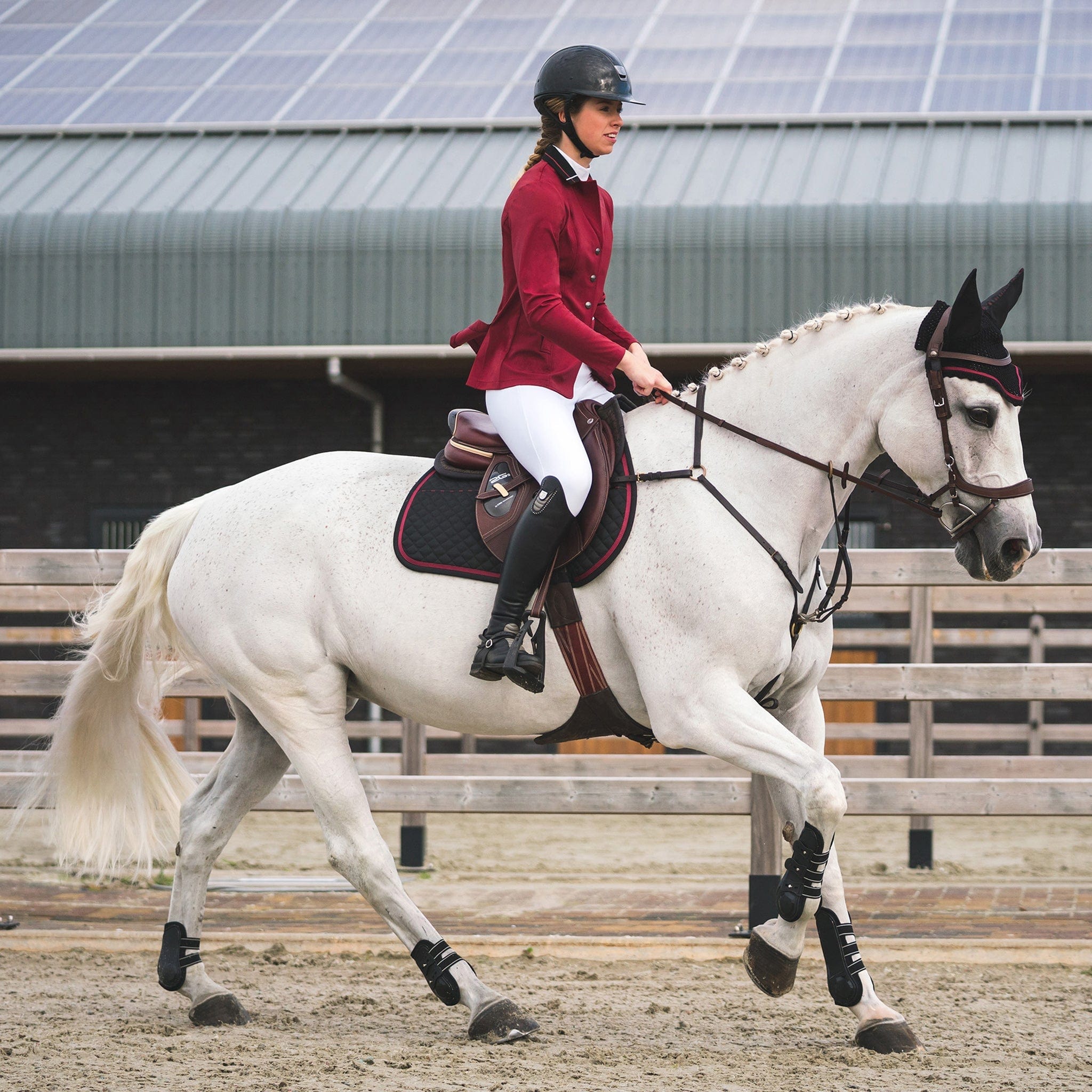 Pres Teq Ambition First Silicone Full Seat Breeches White