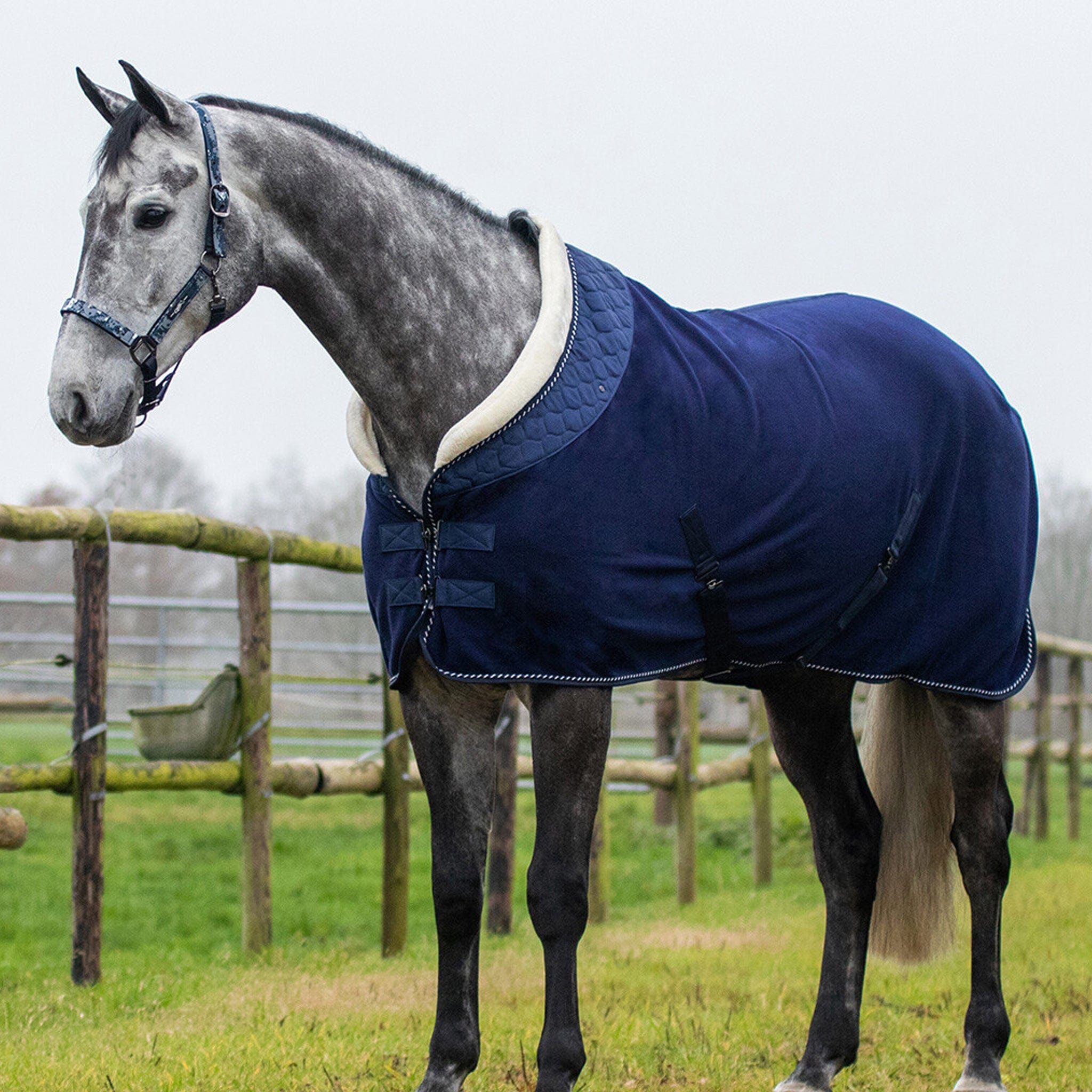 Qhp Brilliance Fleece Rug - 7'0 · Blueberry