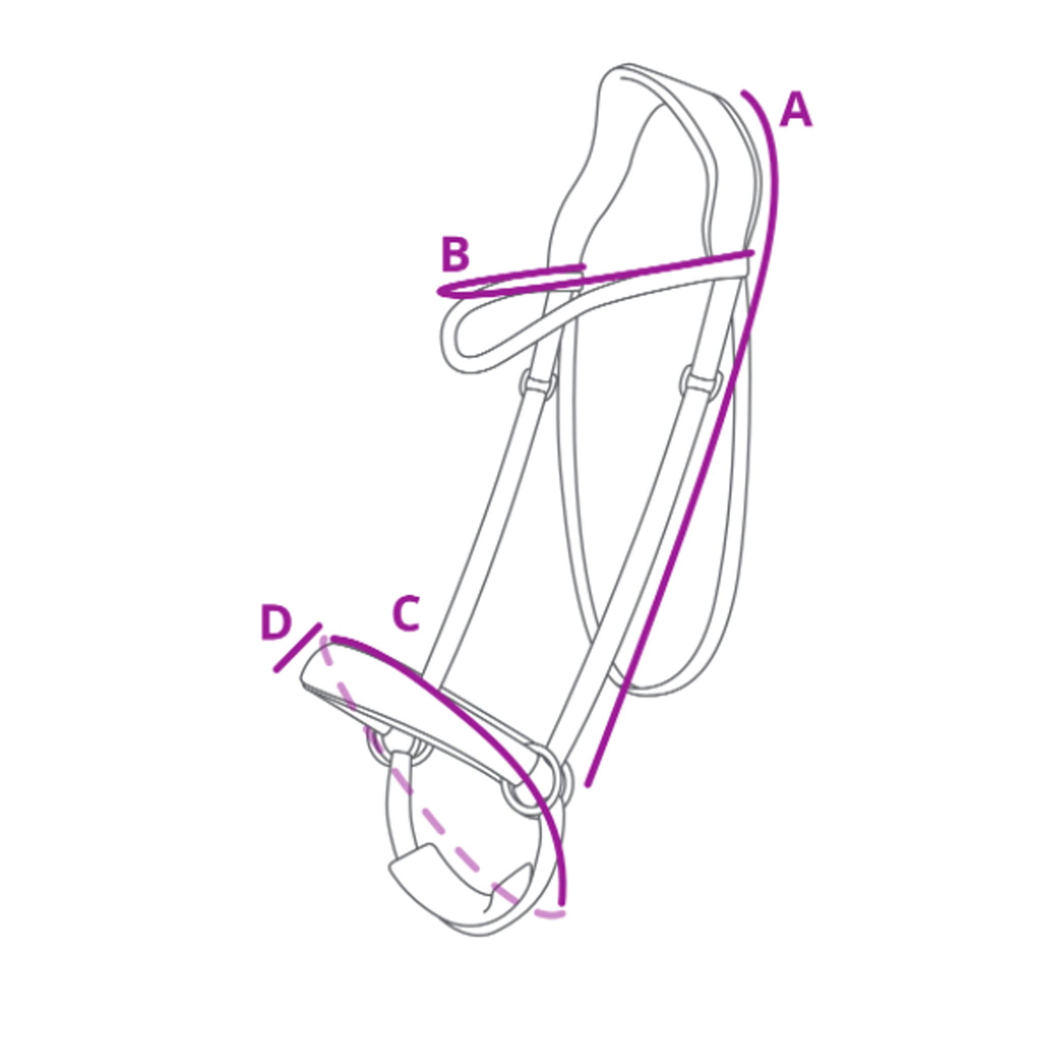 Ceto Bridle