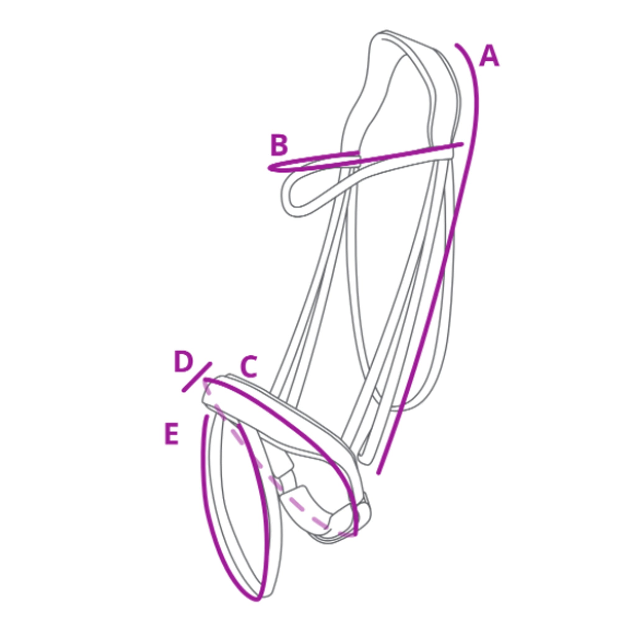 Chianti Bridle