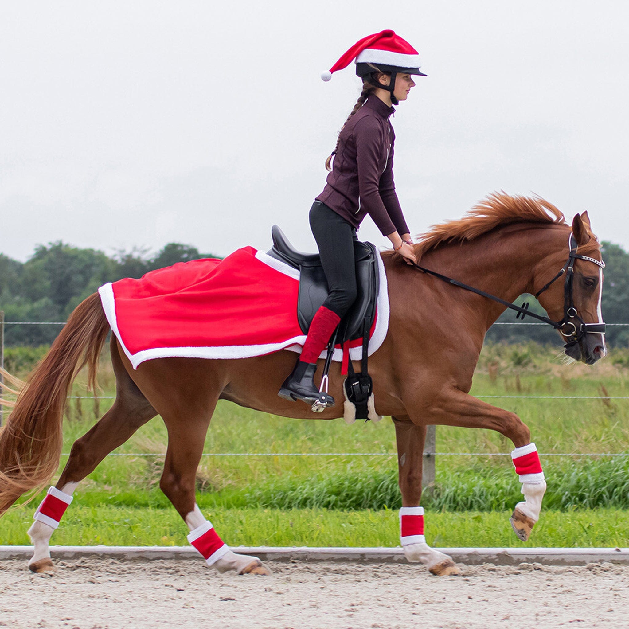 Christmas outfits for horses best sale