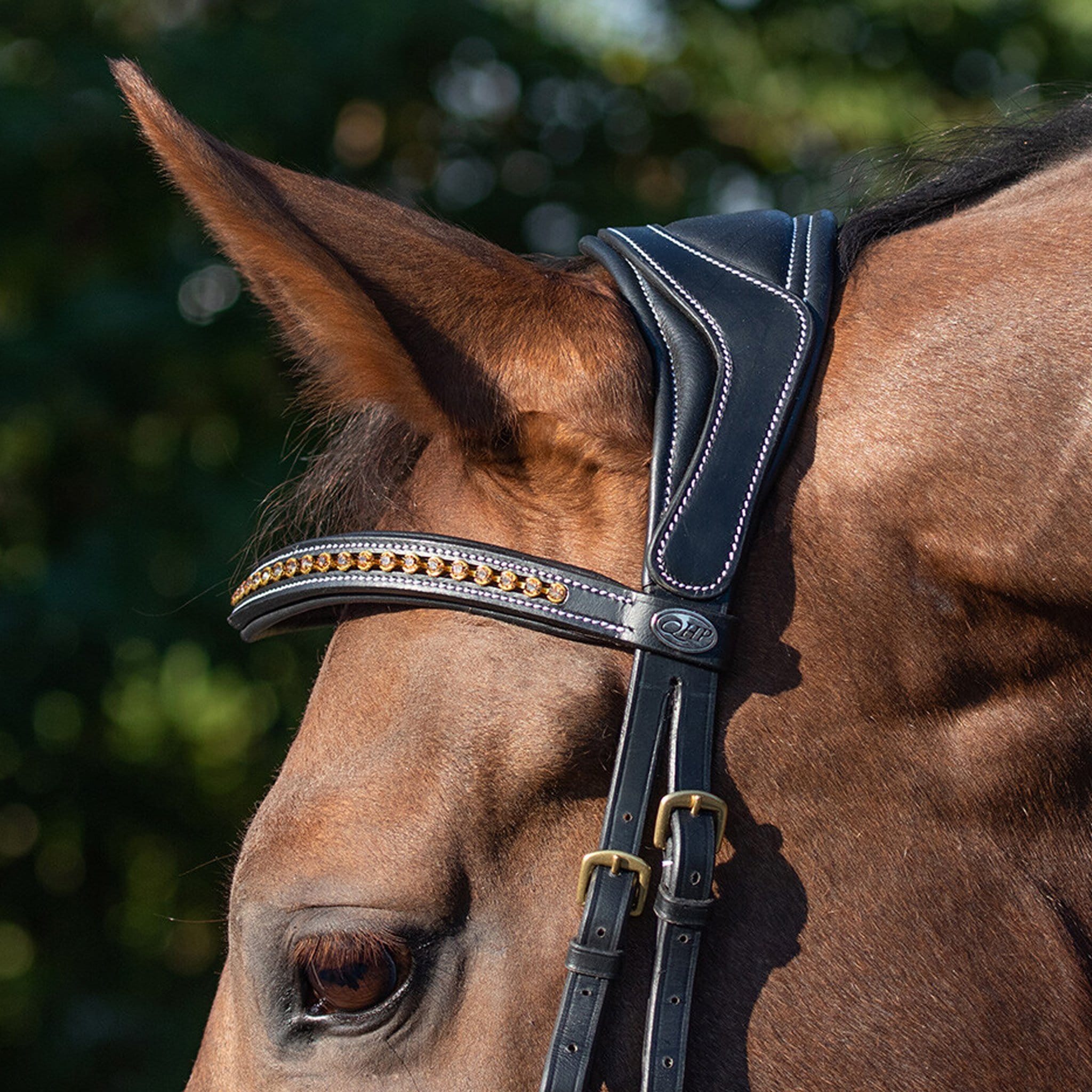 QHP Devi Bridle