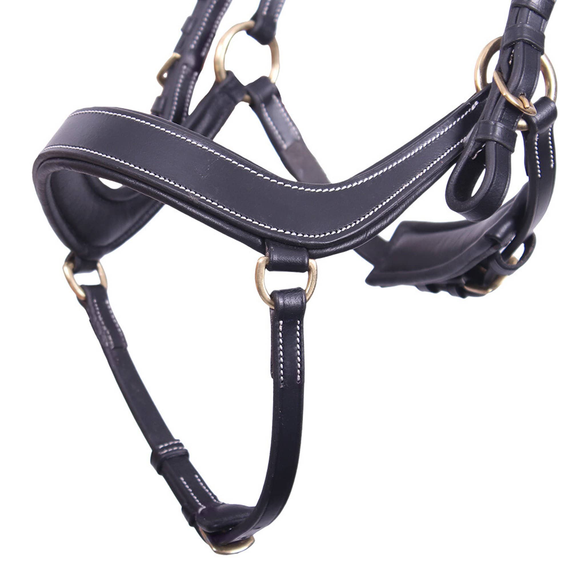 QHP Devi Bridle