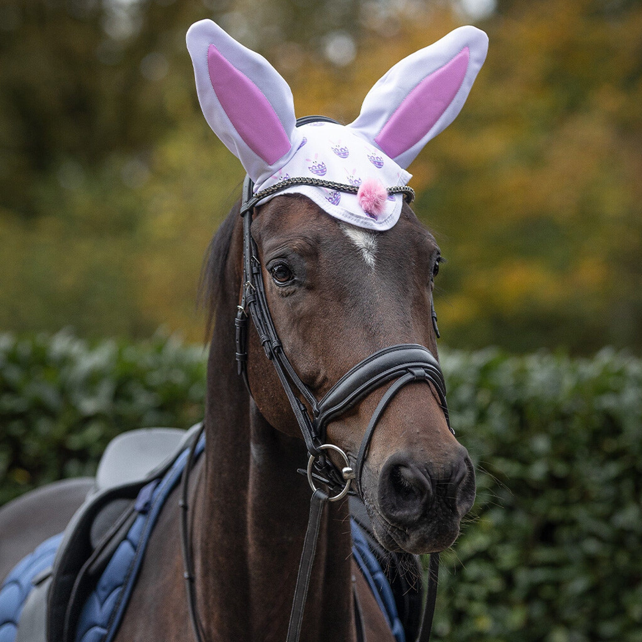 Horse on sale ear bonnet