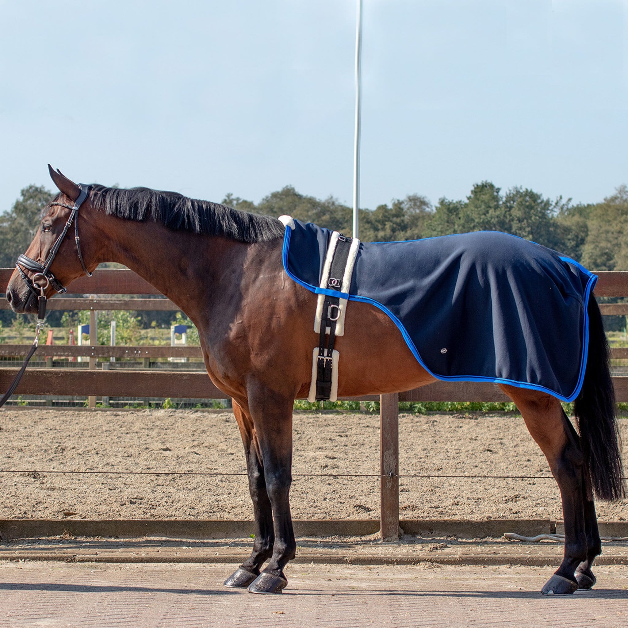 QHP Florence Lunge Rug