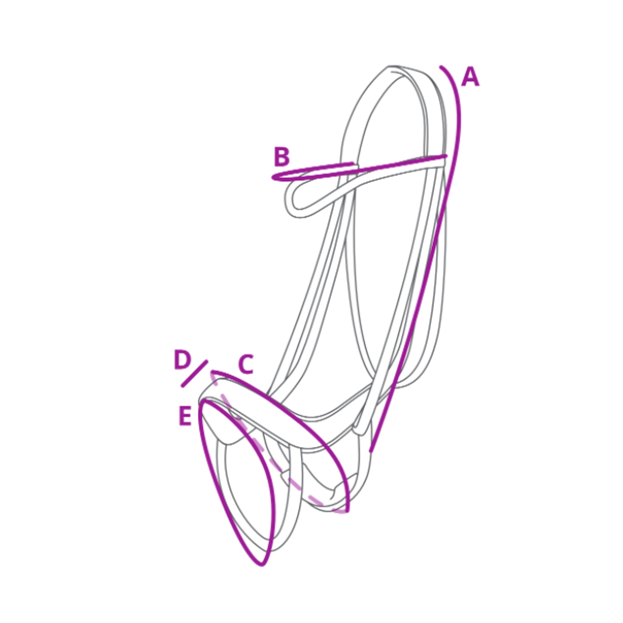 Ontario Bridle