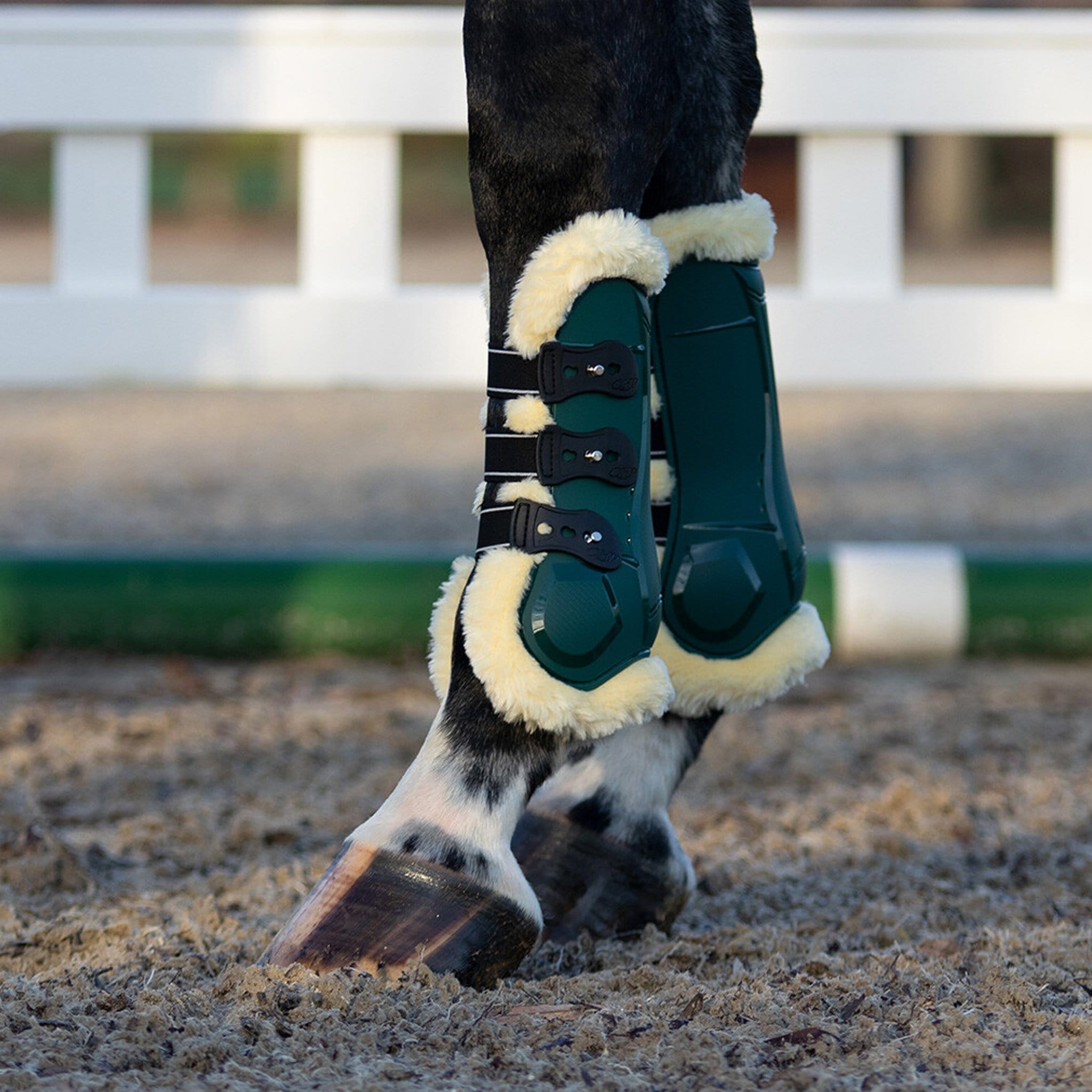 Endurance boots shop for horses