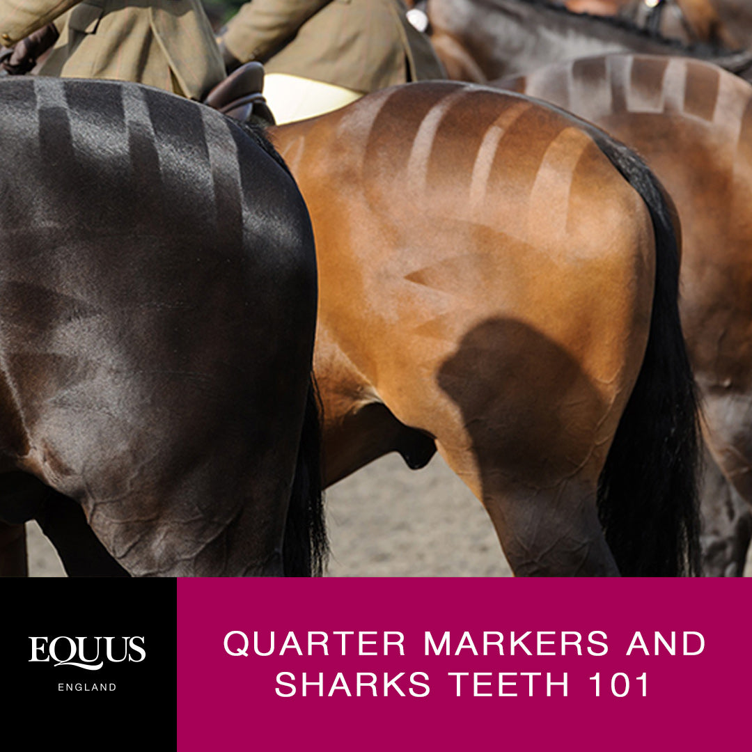 Quarter Marks and Sharks Teeth 101
