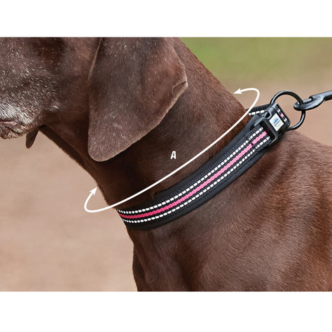 How To Measure For Weatherbeeta Reflective Dog Collar