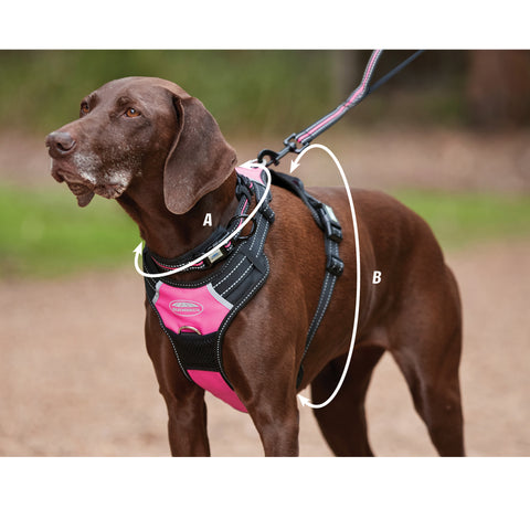 How To Measure For Weatherbeeta Reflective Anti-Pull Travel Dog Harness