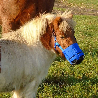 {"default":"Grazing Muzzles"}