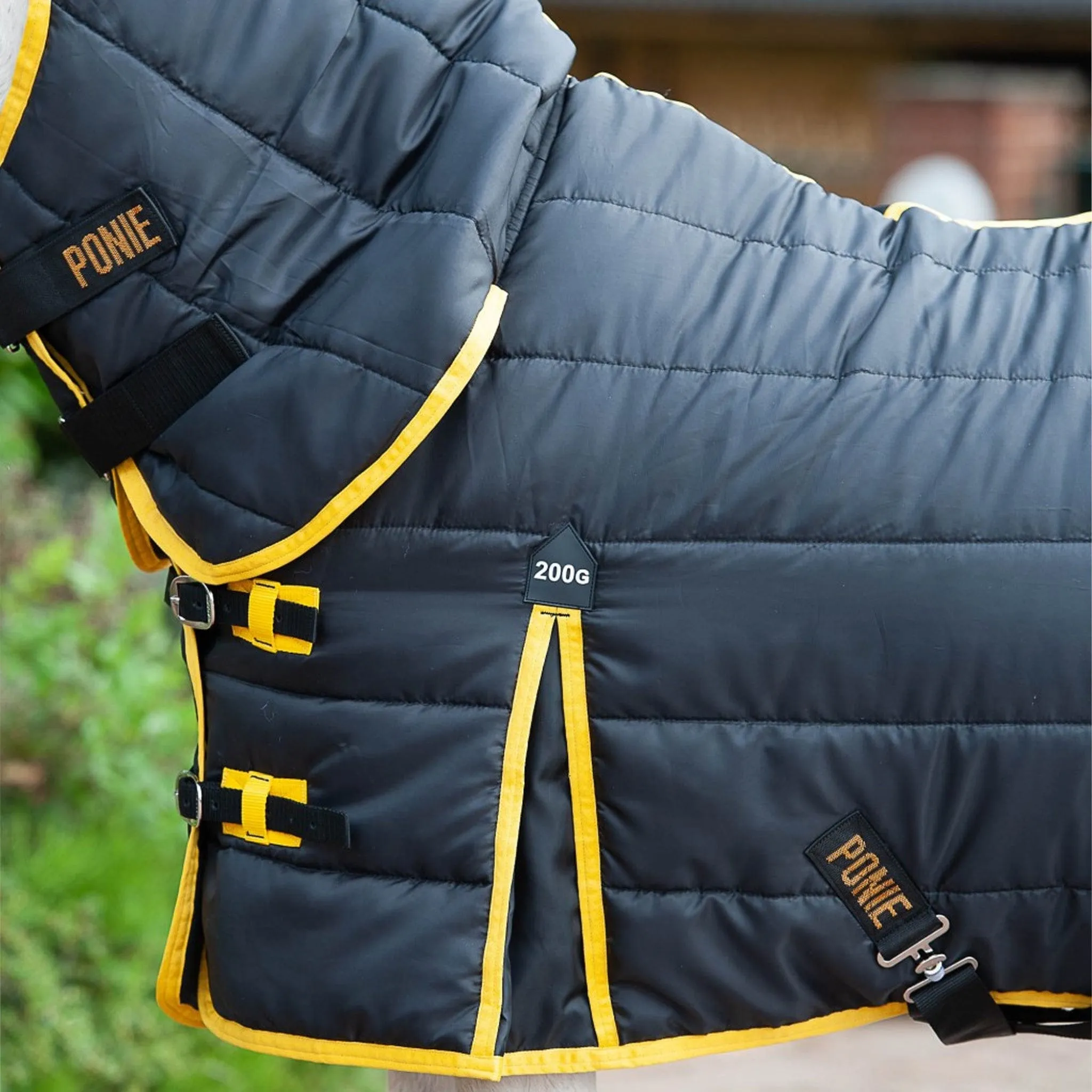 {"default":"Shetland Stable Rugs"}