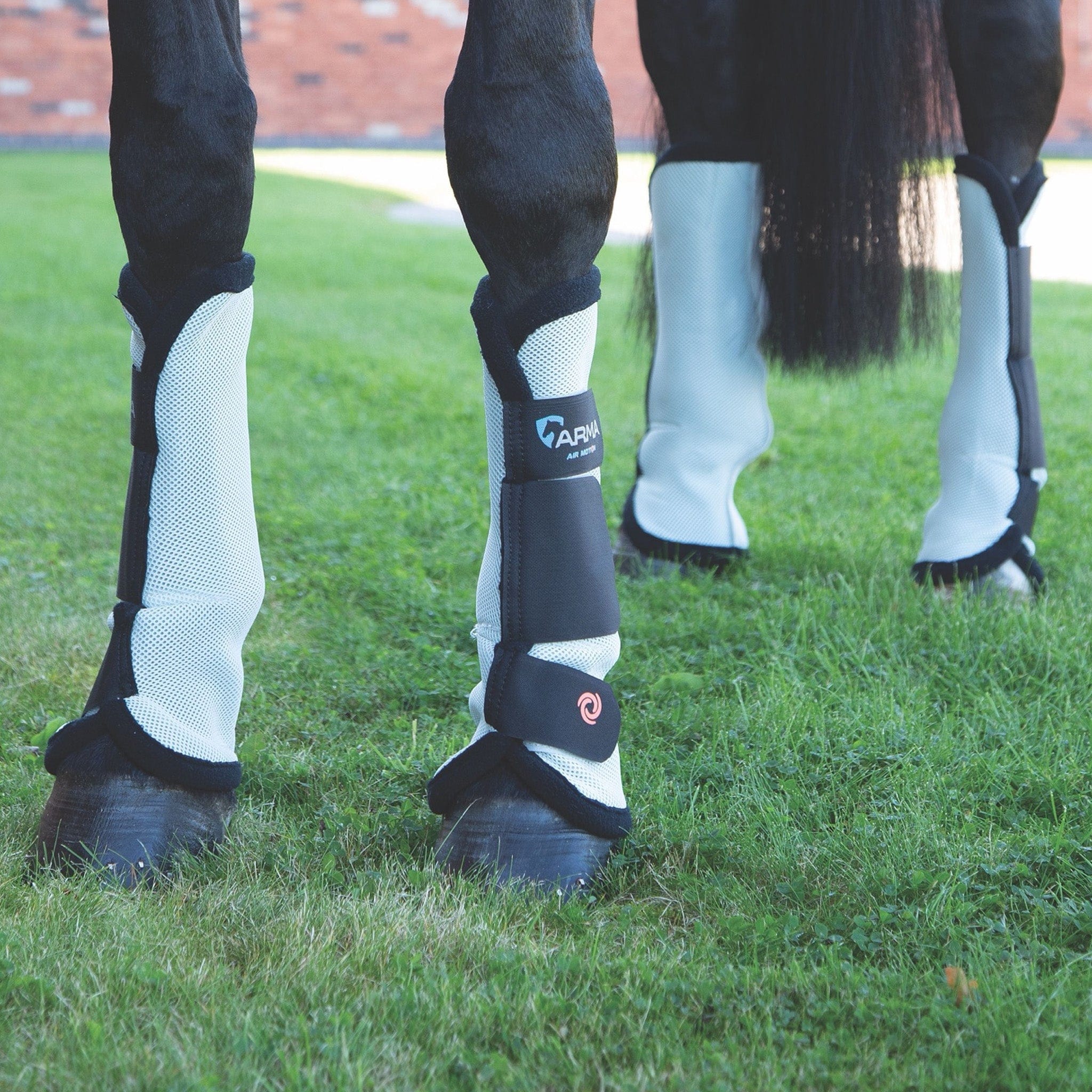 ARMA Fly Turnout Socks
