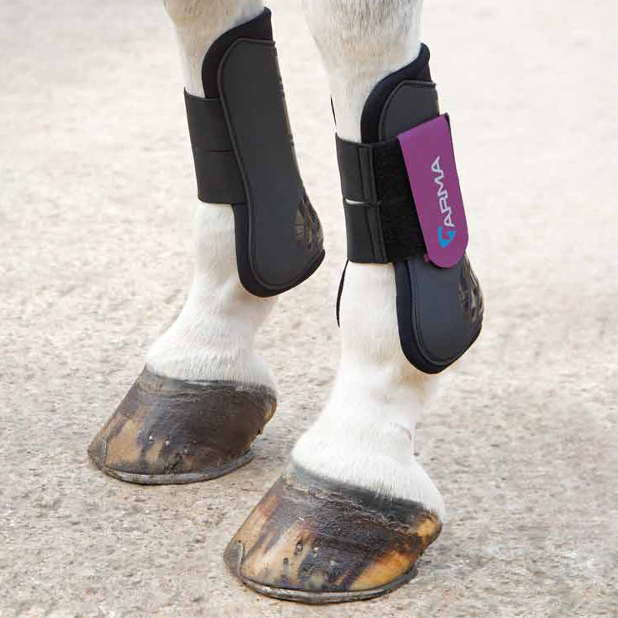 Arma Open Fronted Tendon Boots - Full · Black and Plum