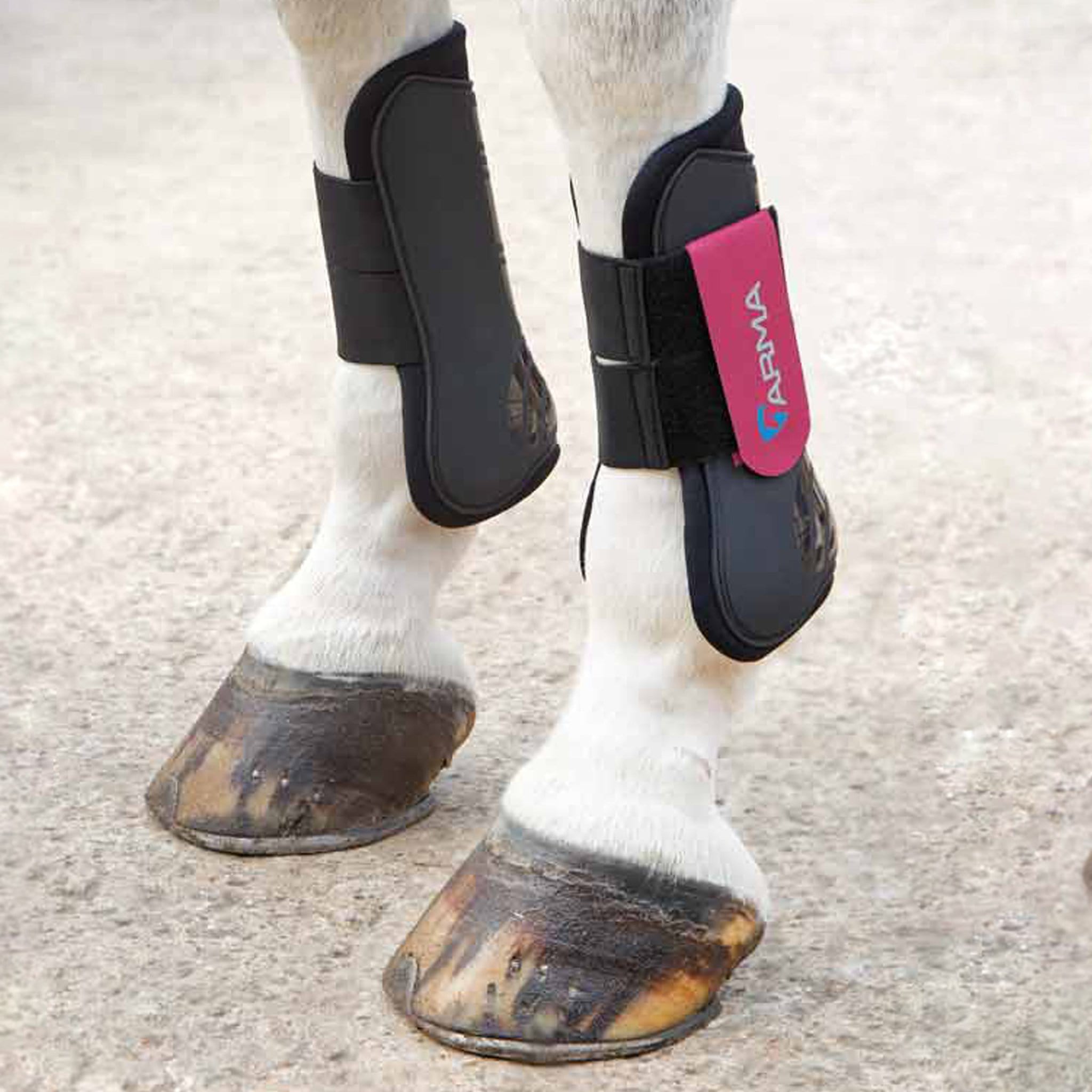 Arma Open Fronted Tendon Boots - Full · Black and Raspberry