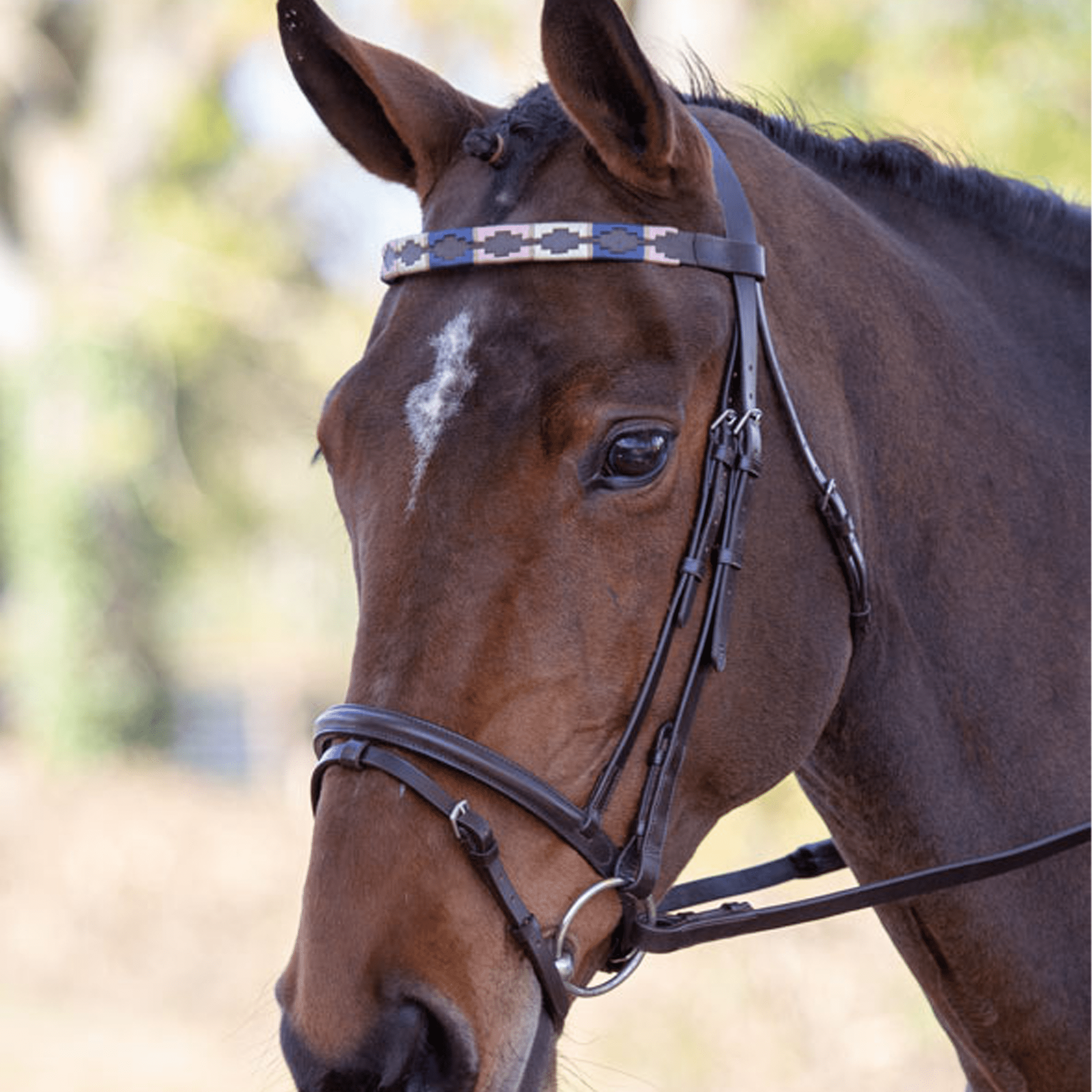 Velociti Gara Leather Polo Browband - Pony · Pink/Natural and Navy