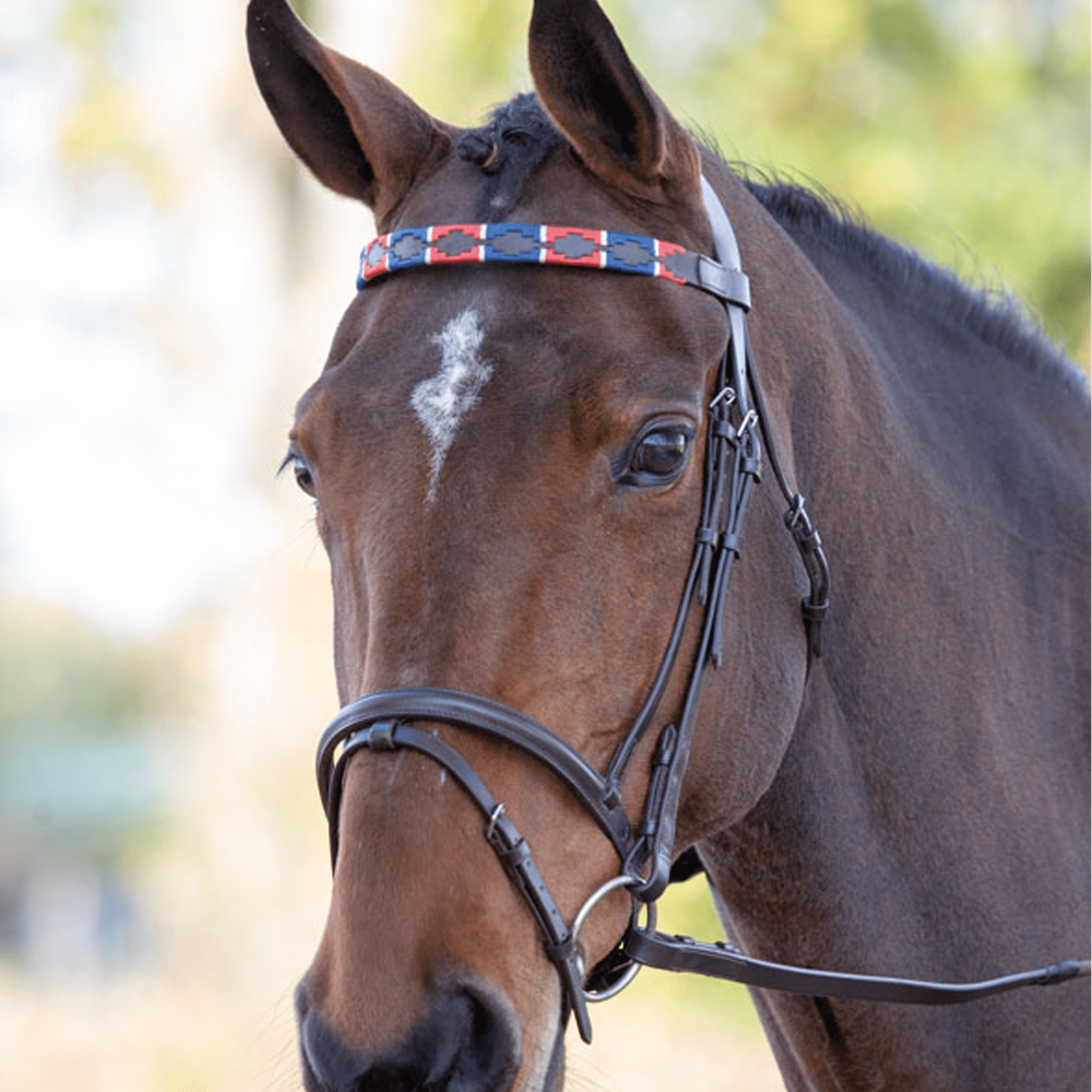 Velociti Gara Leather Polo Browband - Pony · Red and Navy