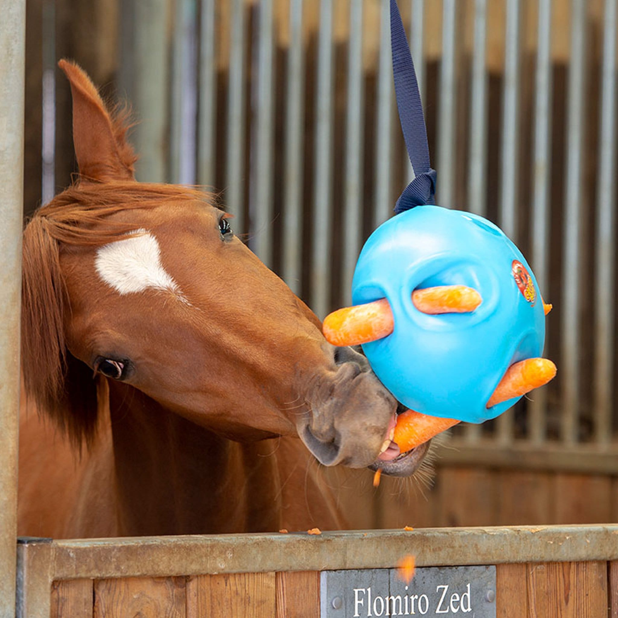 Equine toys on sale