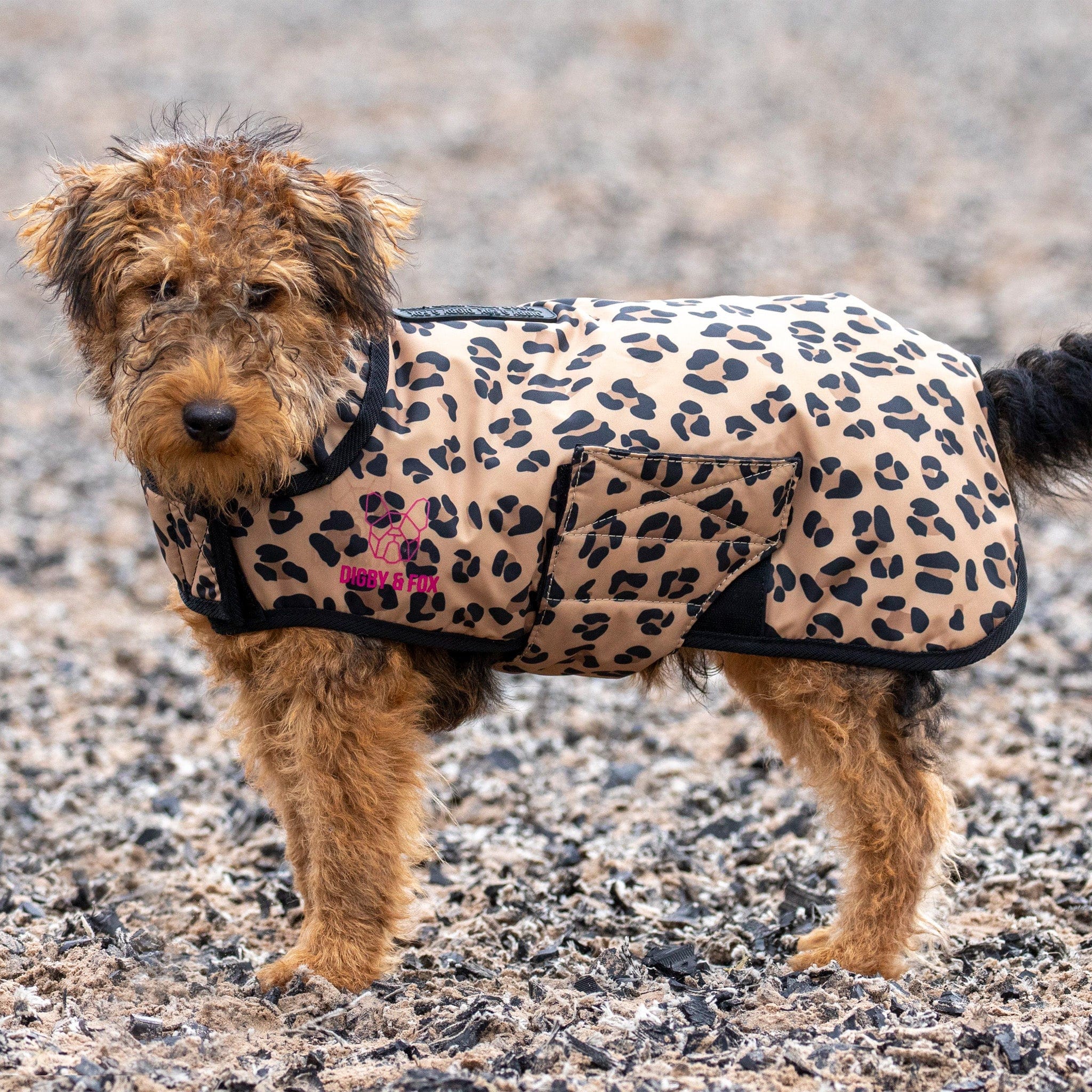 Shires Digby and Fox Leopard Print Dog Coat