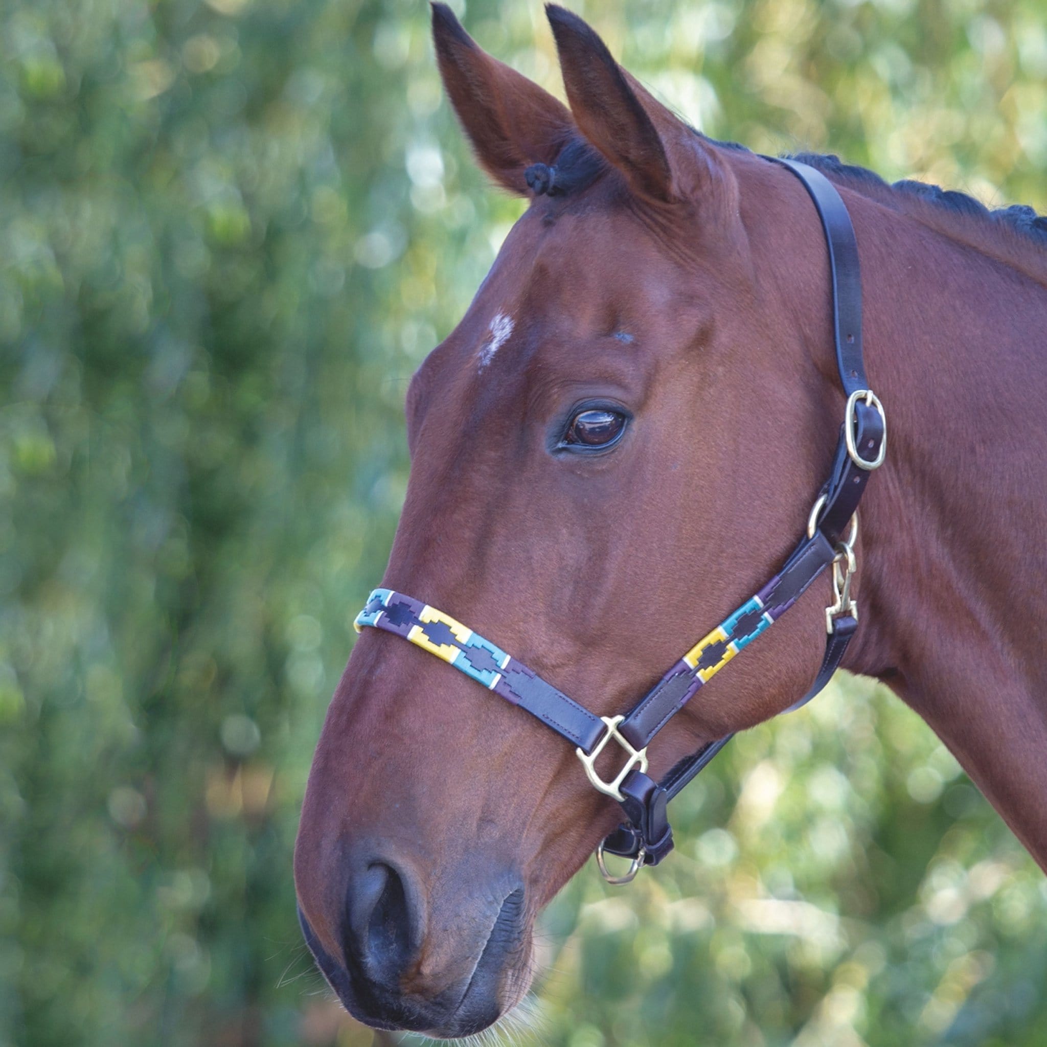 Velociti Gara Leather Polo Headcollar - Full · Purple Dark Green and Yellow