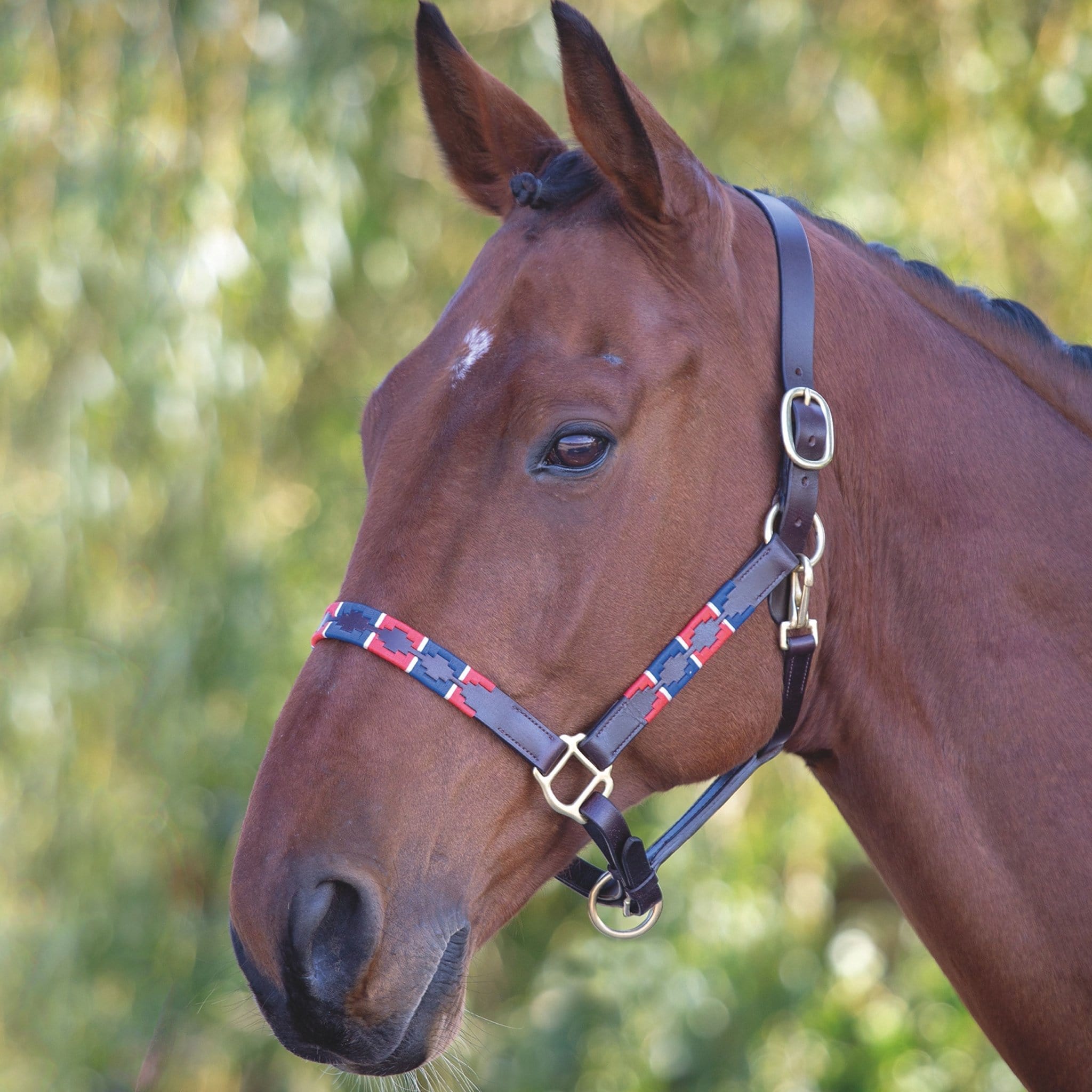 Velociti Gara Leather Polo Headcollar - Pony · Red and Navy