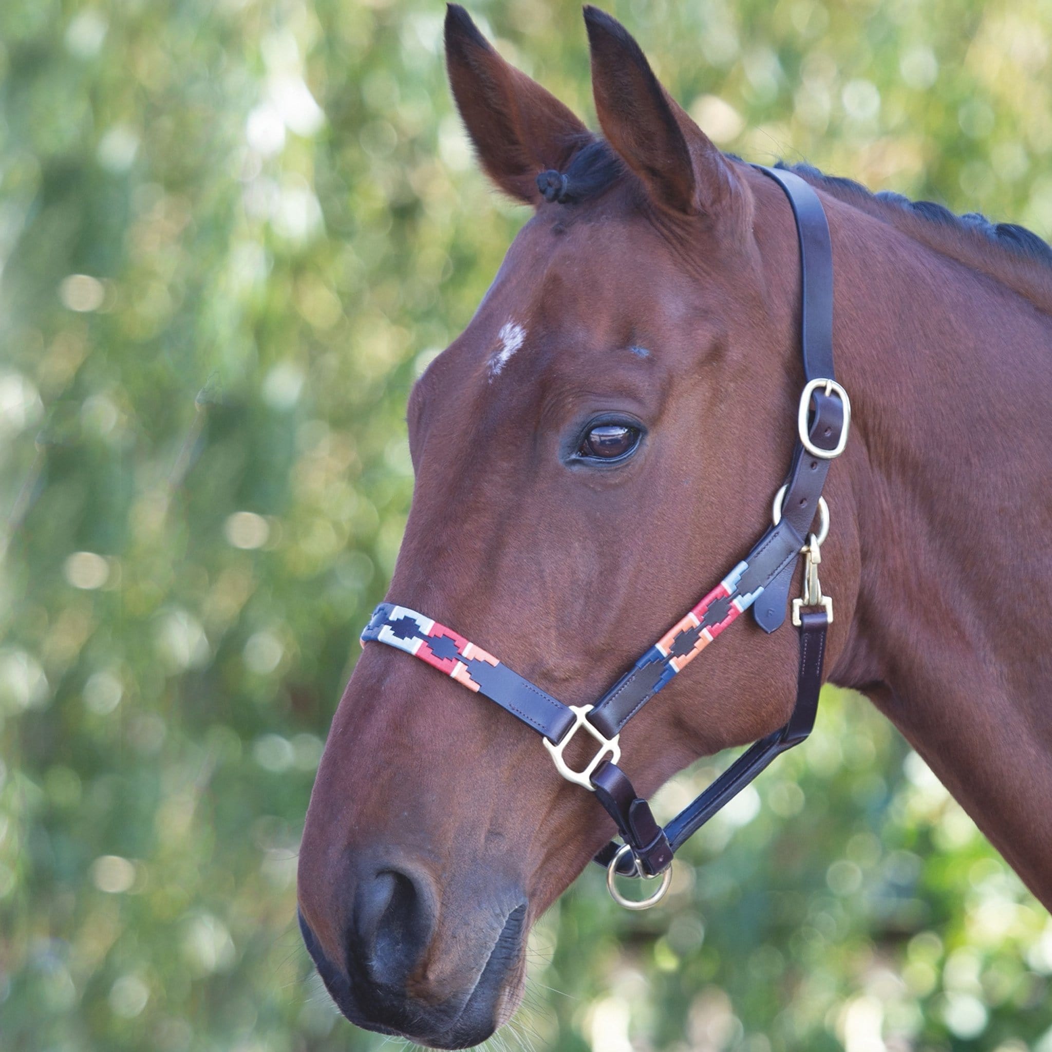 Velociti Gara Leather Polo Headcollar - Pony · Turquoise Red Orange and Blue