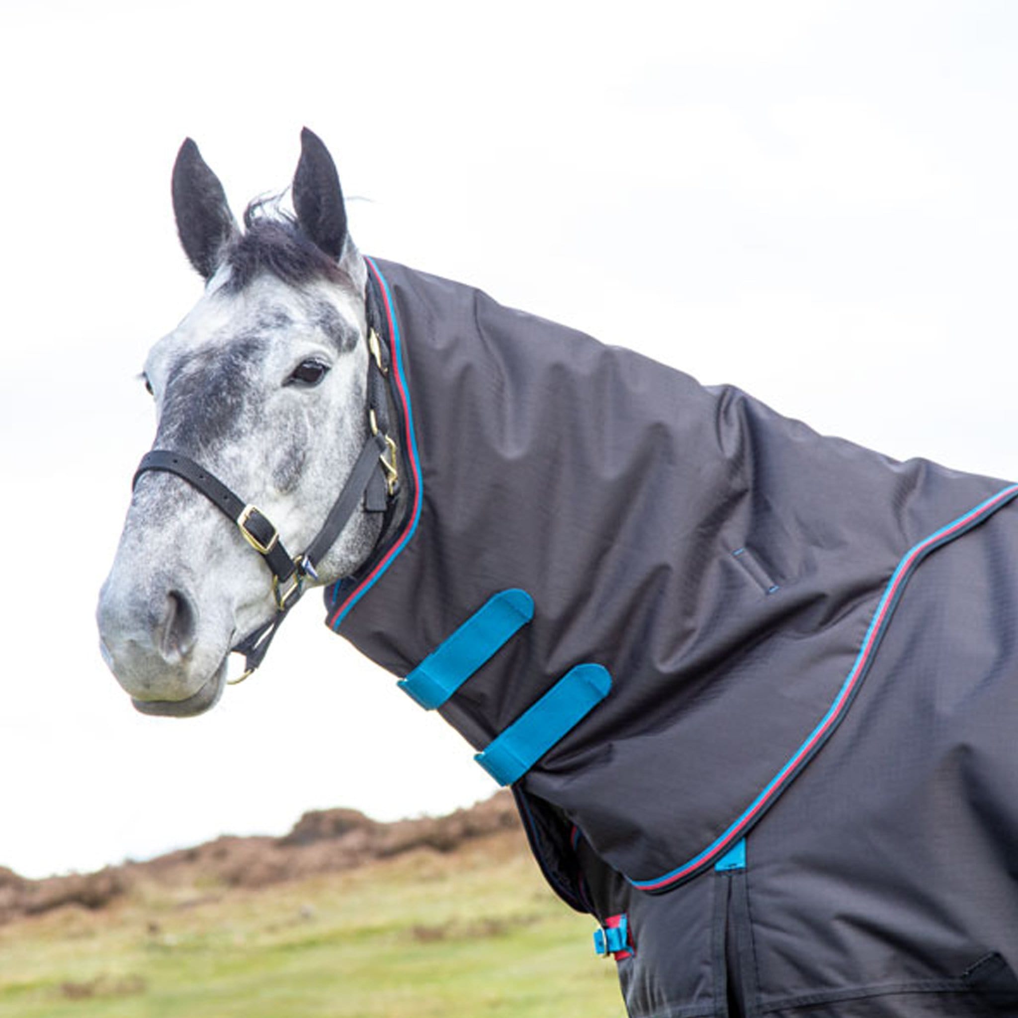 Shires Equestrian Highlander Original 200g Neck Cover Black and Blue 9354N