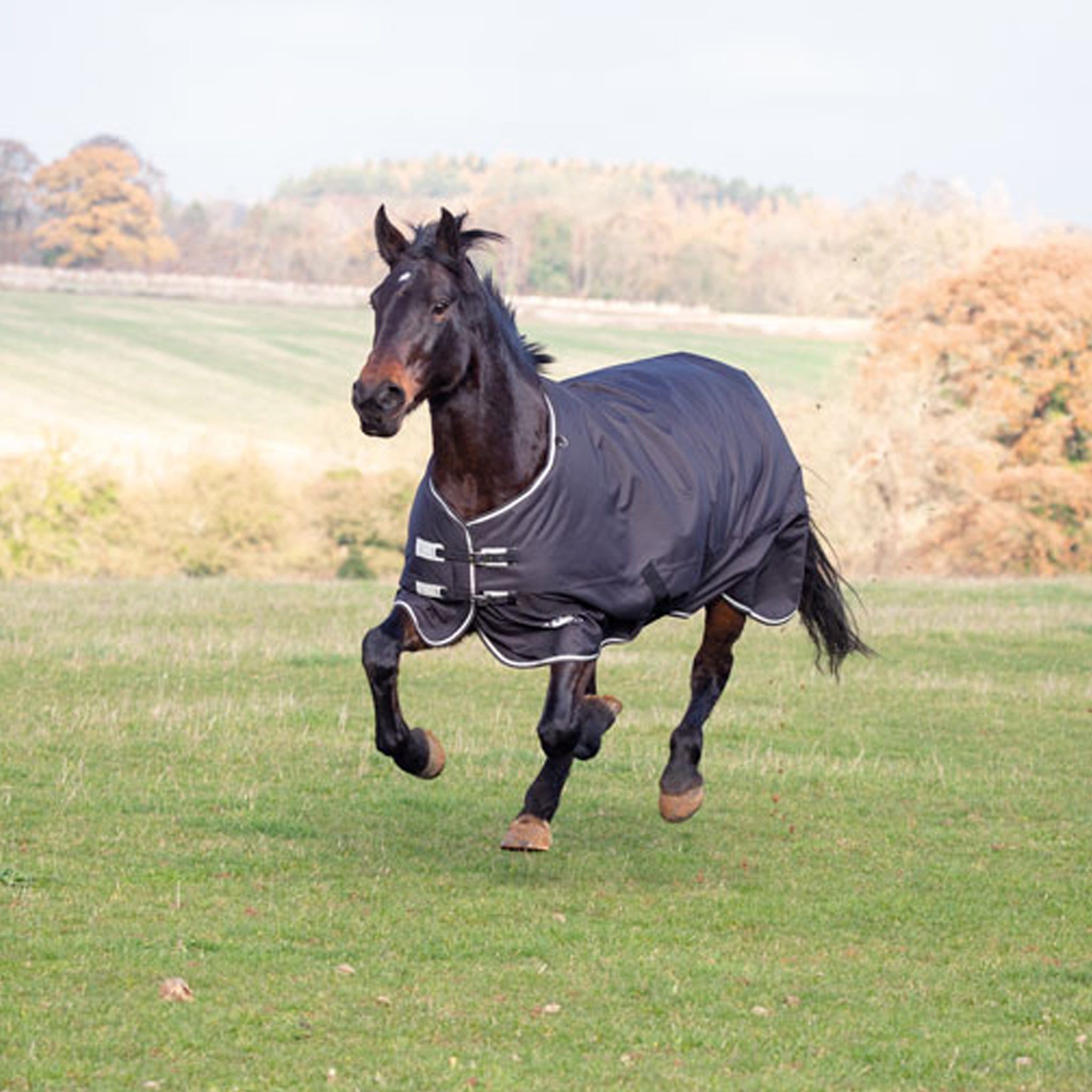 Shires Tempest Plus Heavyweight 300g Turnout Rug | Free UK Delivery