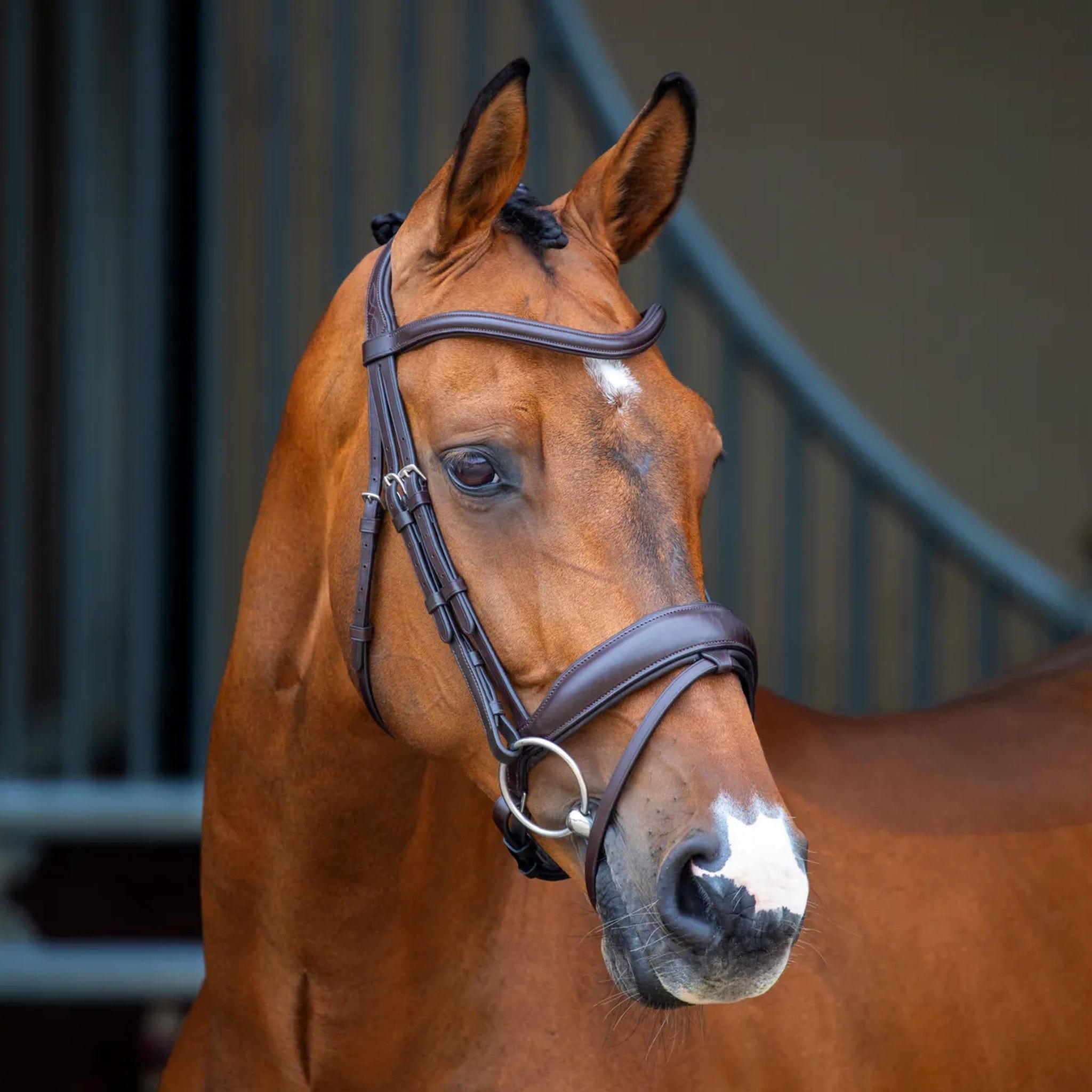 Velociti Lusso Dressage Flash Bridle - Extra Full · Havana