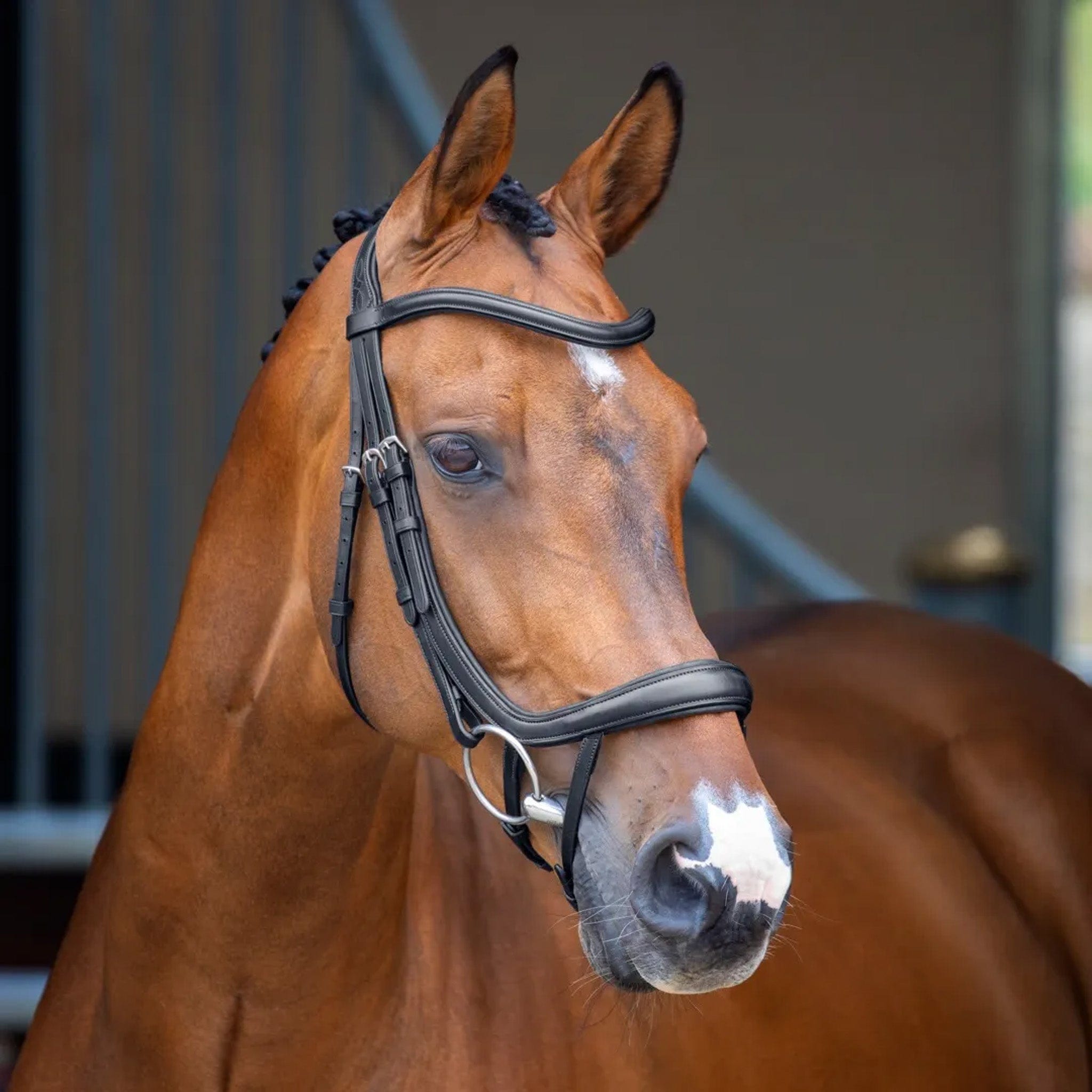 Velociti Lusso Ergonomic Curved Flash Bridle