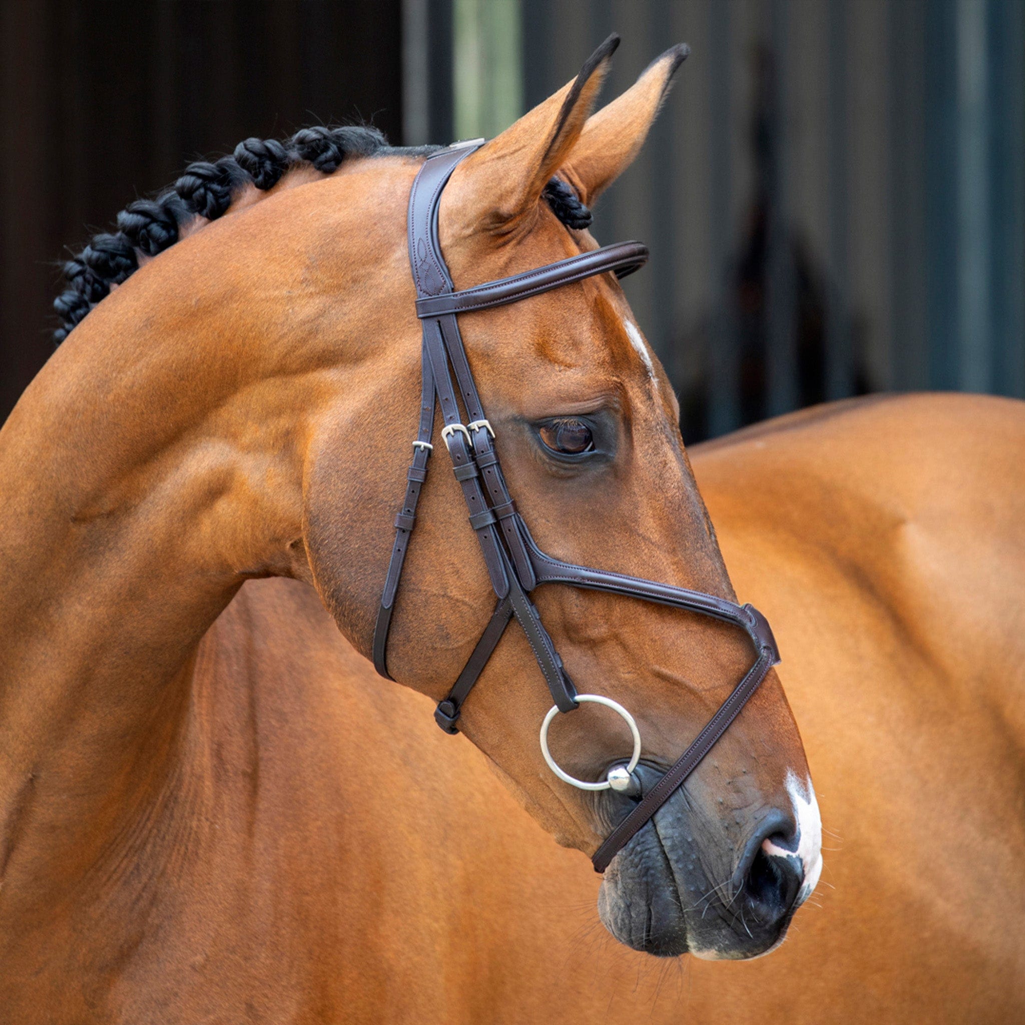 Velociti Lusso Grackle Bridle - Extra Full · Havana