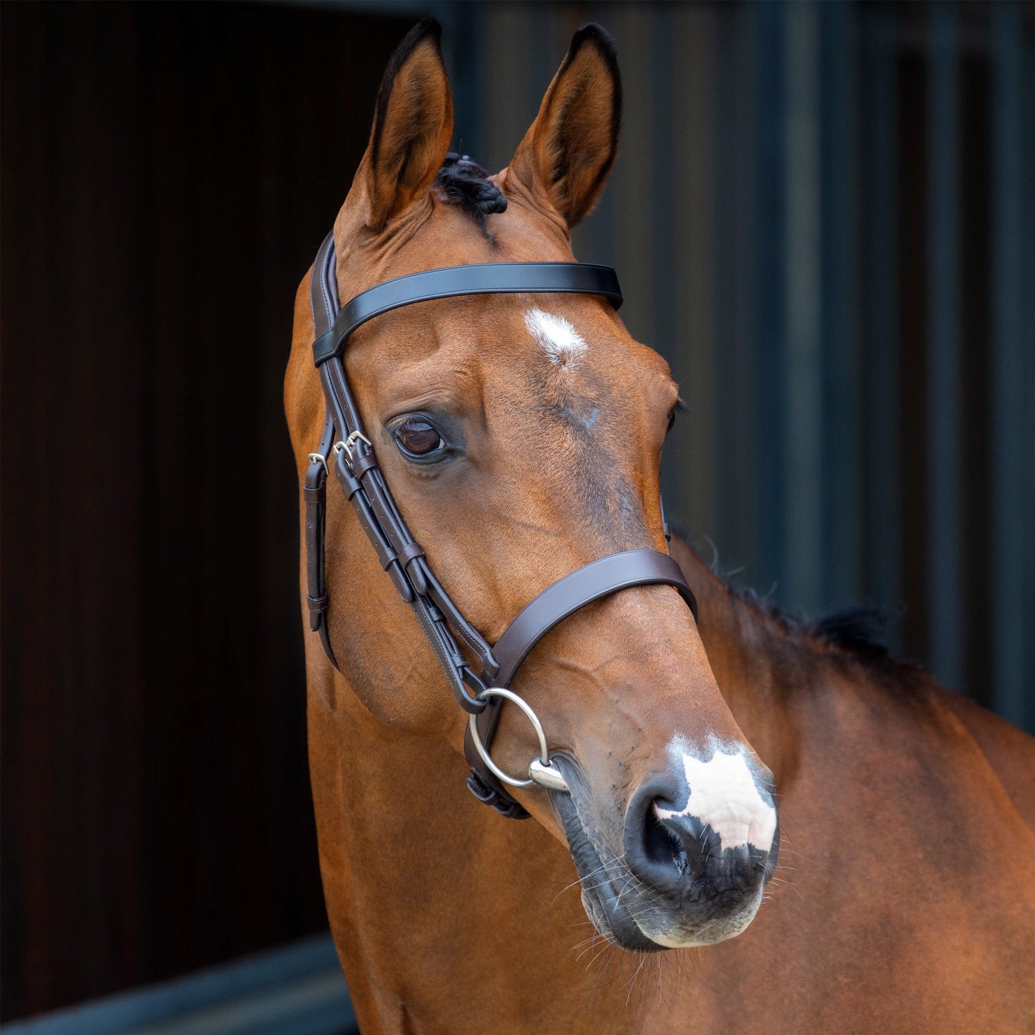 Bridles Horse Bridles For Sale with Free UK Delivery EQUUS