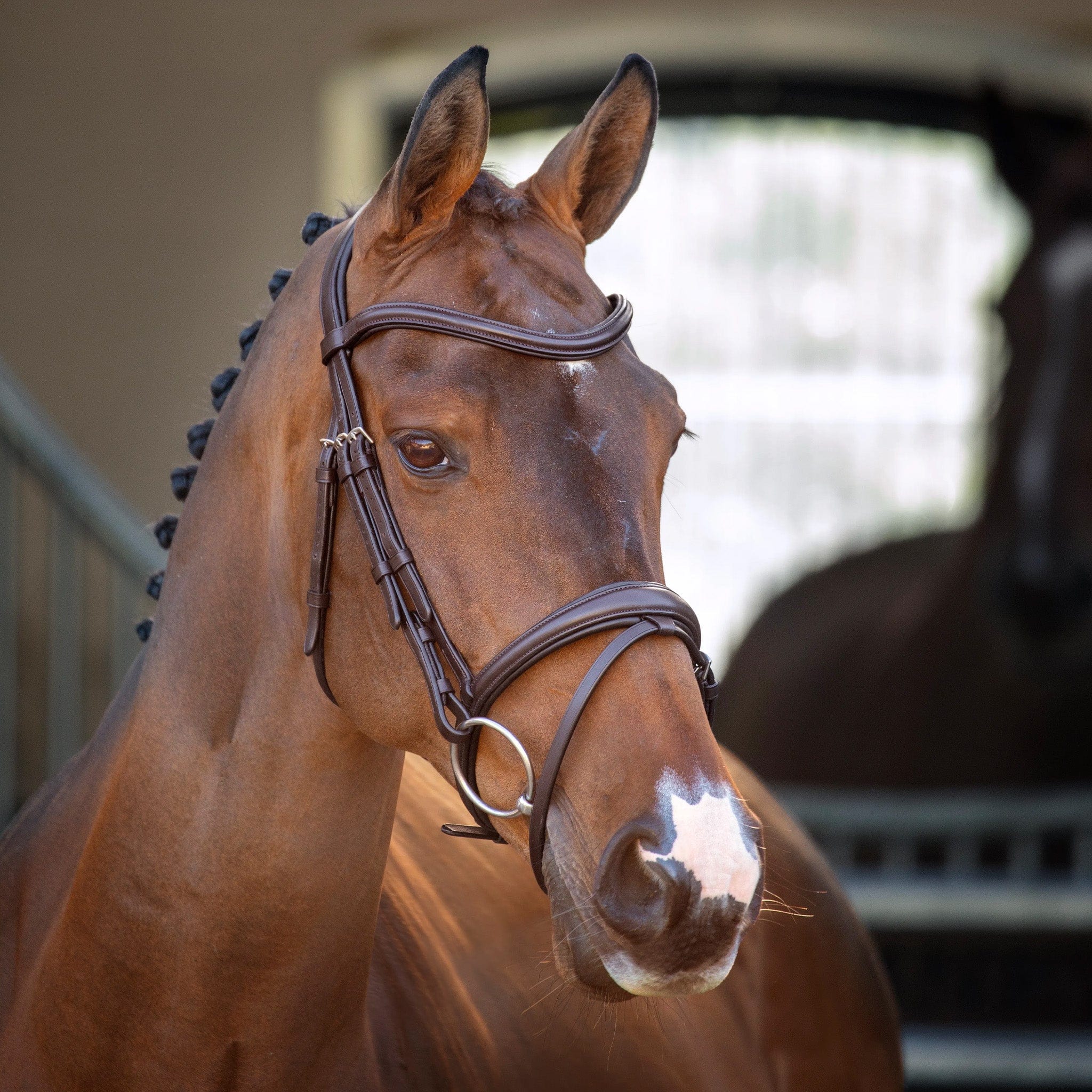 Velociti Lusso Padded Raised Flash Bridle - Extra Full · Havana