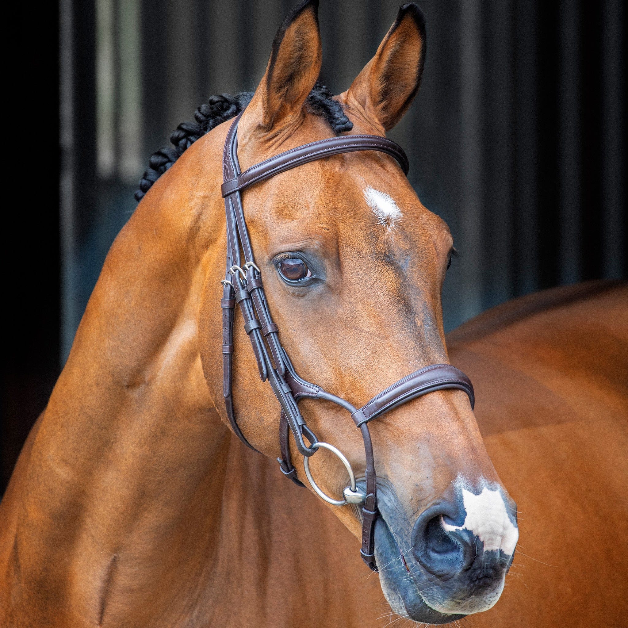 Velociti Lusso Rolled Padded Cavesson Bridle - Full · Havana