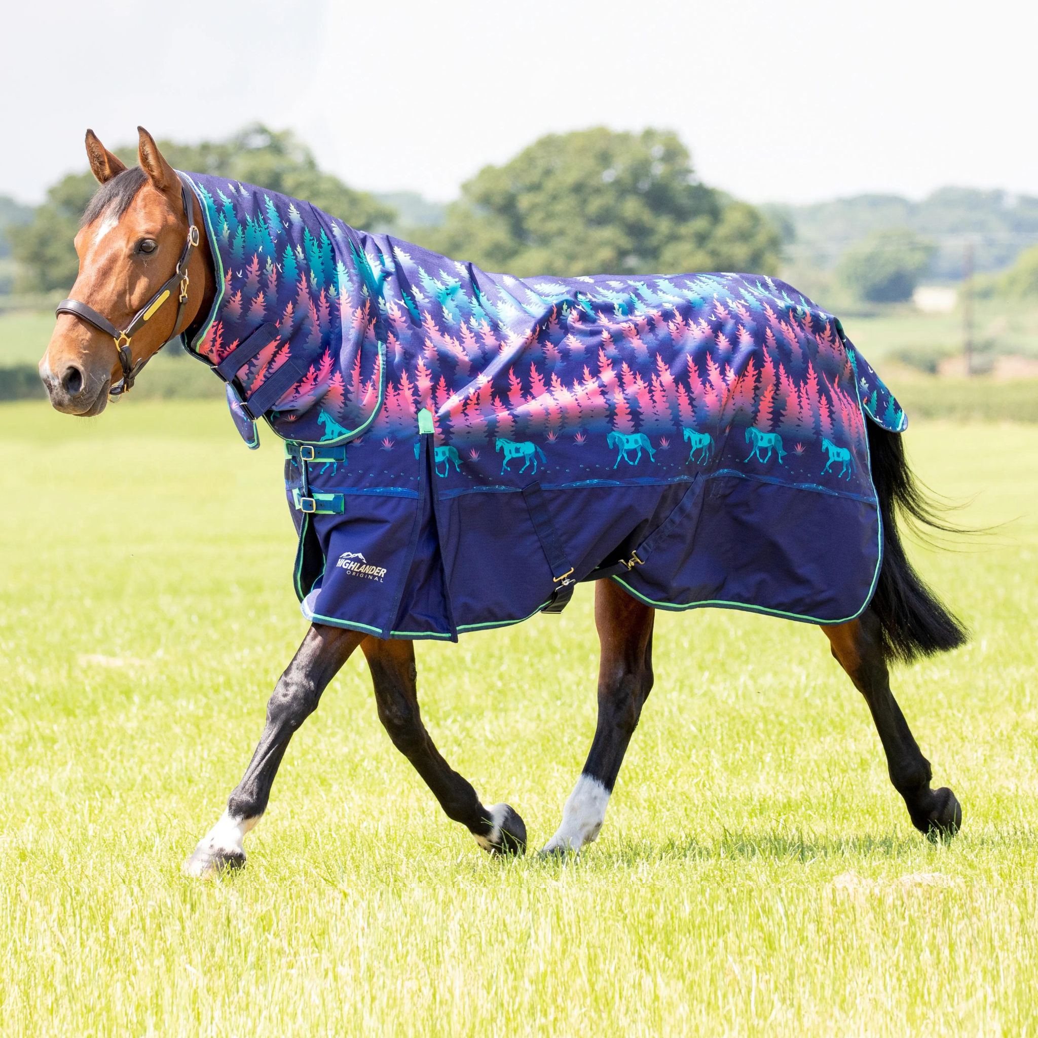 Shires Highlander Original 200g Combo Turnout Rug - 6'9 · Navy Forest