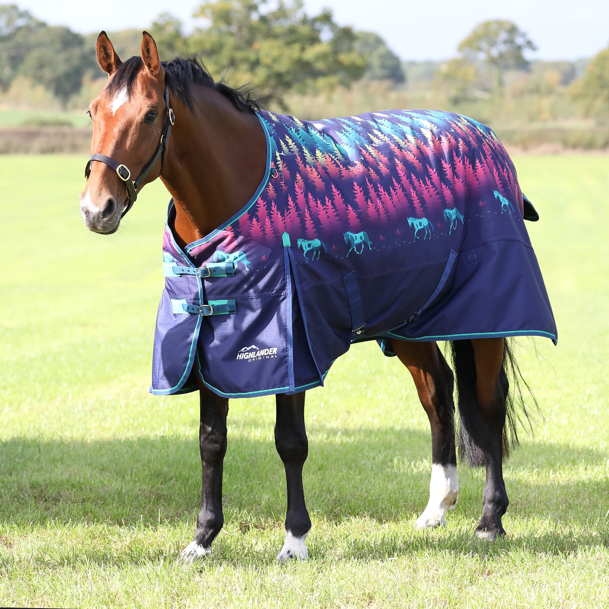 Shires Highlander Original 100g Standard Turnout Rug - 7'0 · Navy Forest